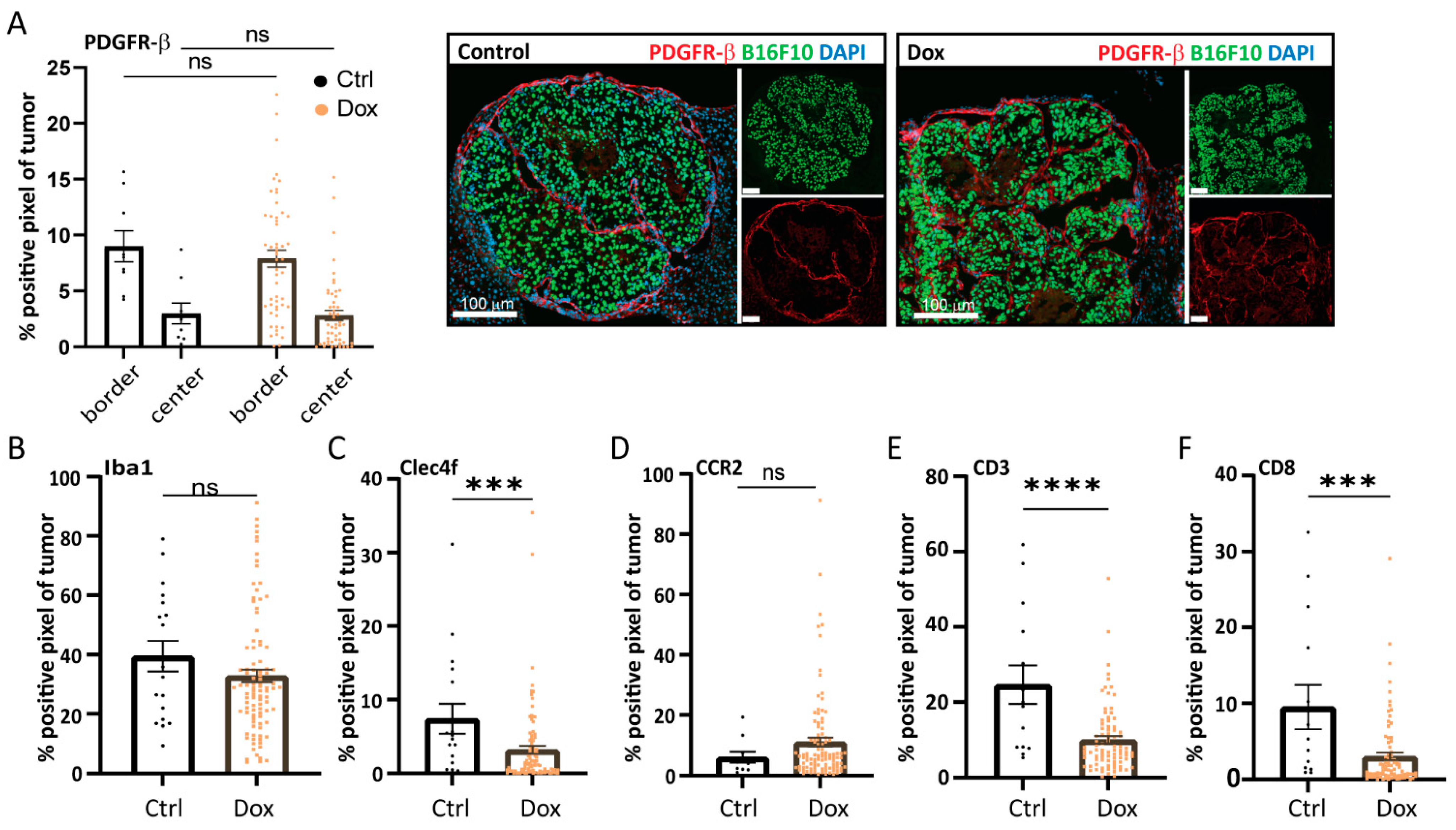 Ijms 24 08676 g005 Ijms 24 08676 g005