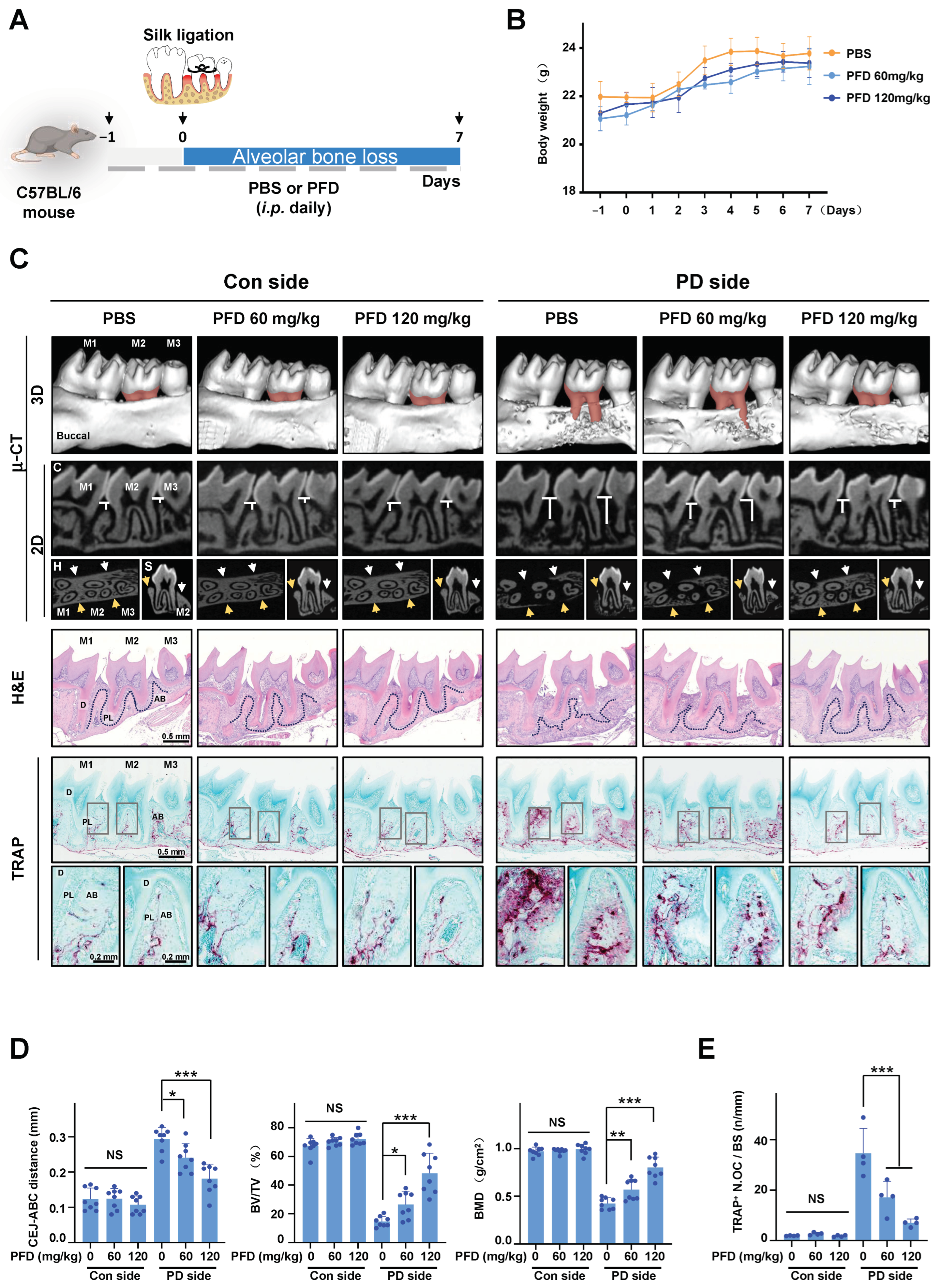 Ijms 24 08682 g001 Ijms 24 08682 g001