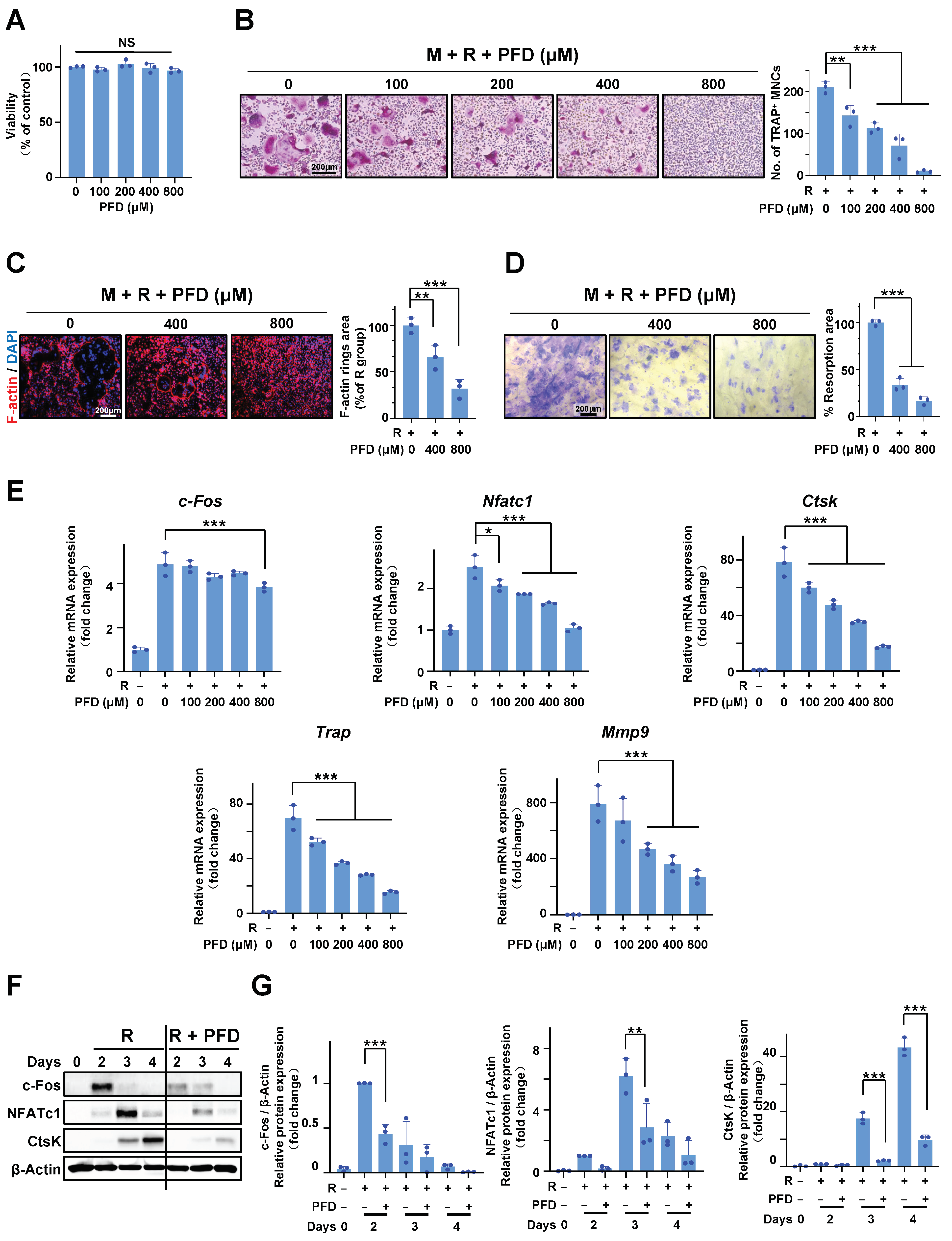 Ijms 24 08682 g002 Ijms 24 08682 g002