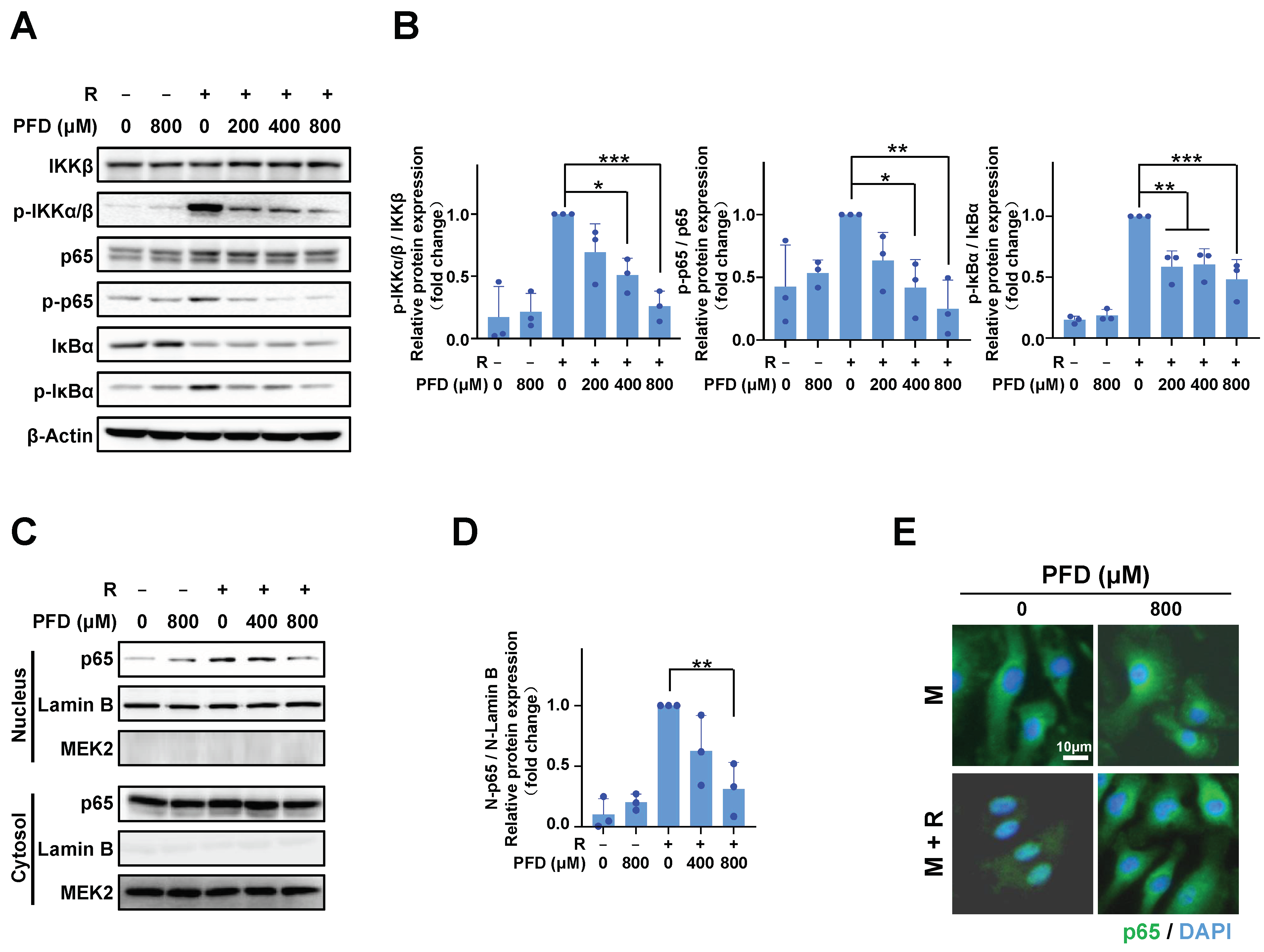 Ijms 24 08682 g003 Ijms 24 08682 g003