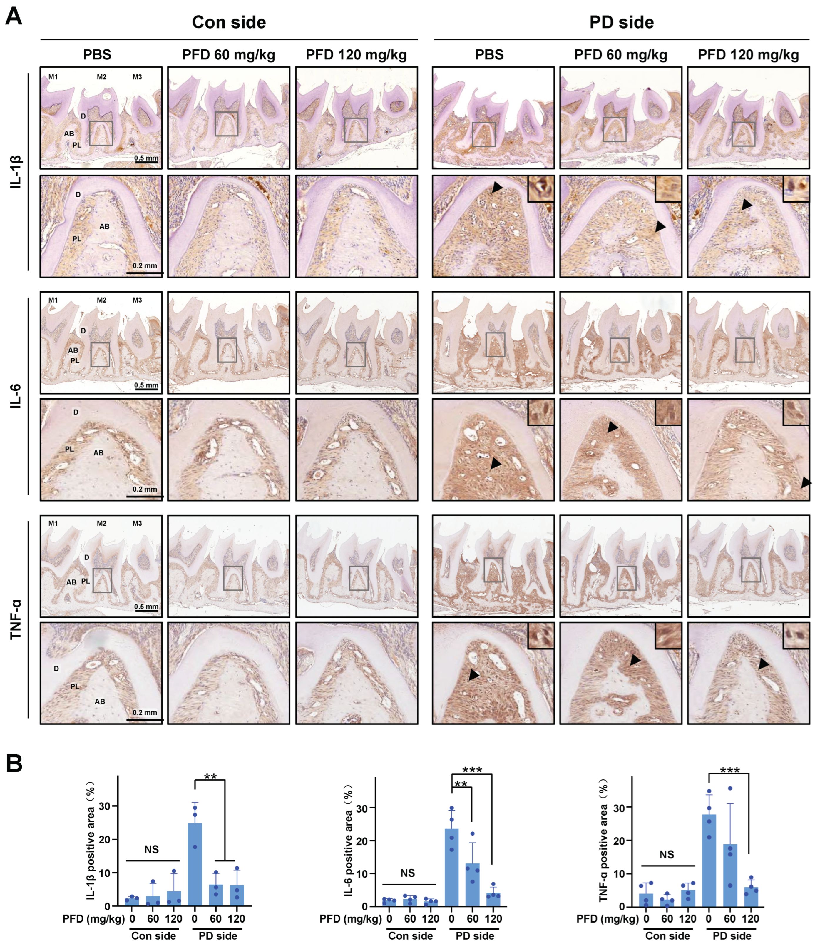 Ijms 24 08682 g004 Ijms 24 08682 g004