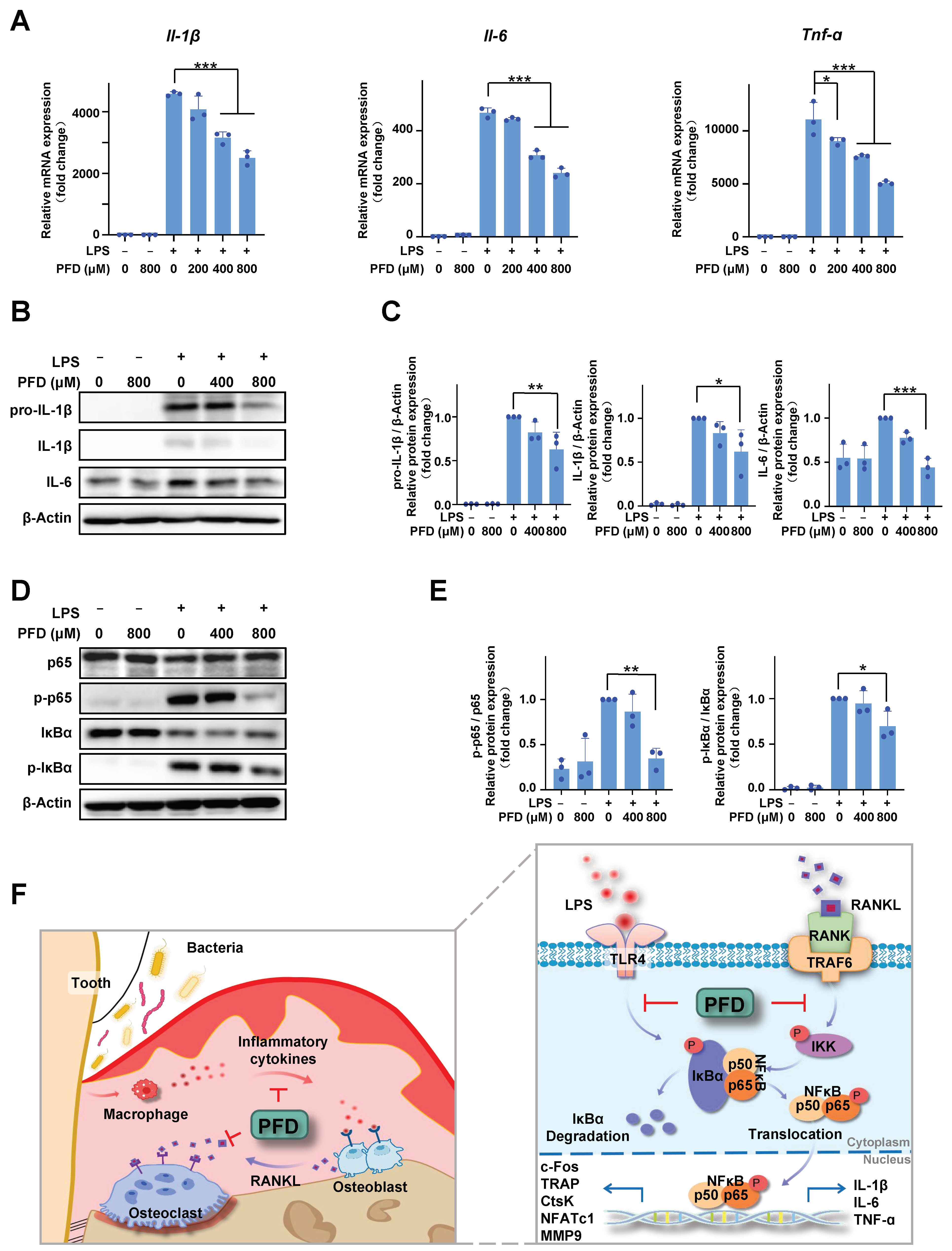 Ijms 24 08682 g005 Ijms 24 08682 g005
