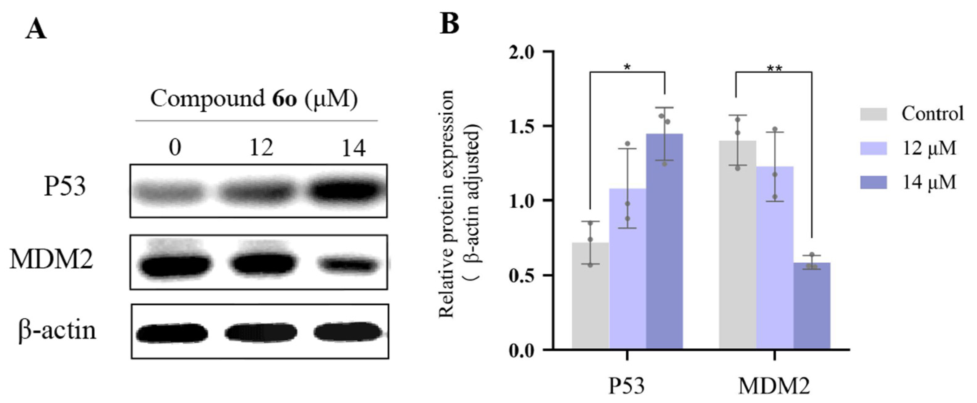 Ijms 24 08686 g005 Ijms 24 08686 g005