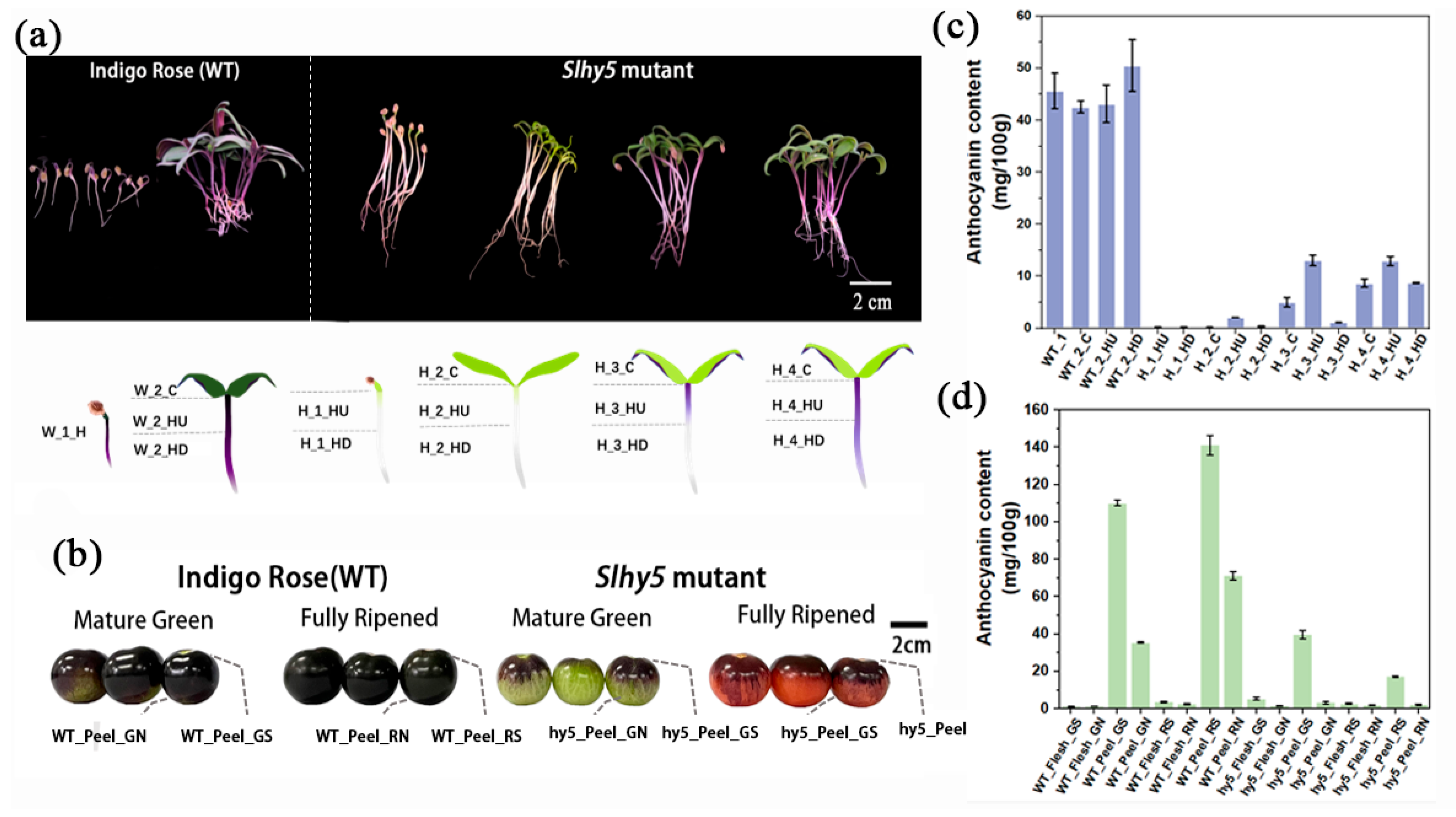 Ijms 24 08690 g001 Ijms 24 08690 g001