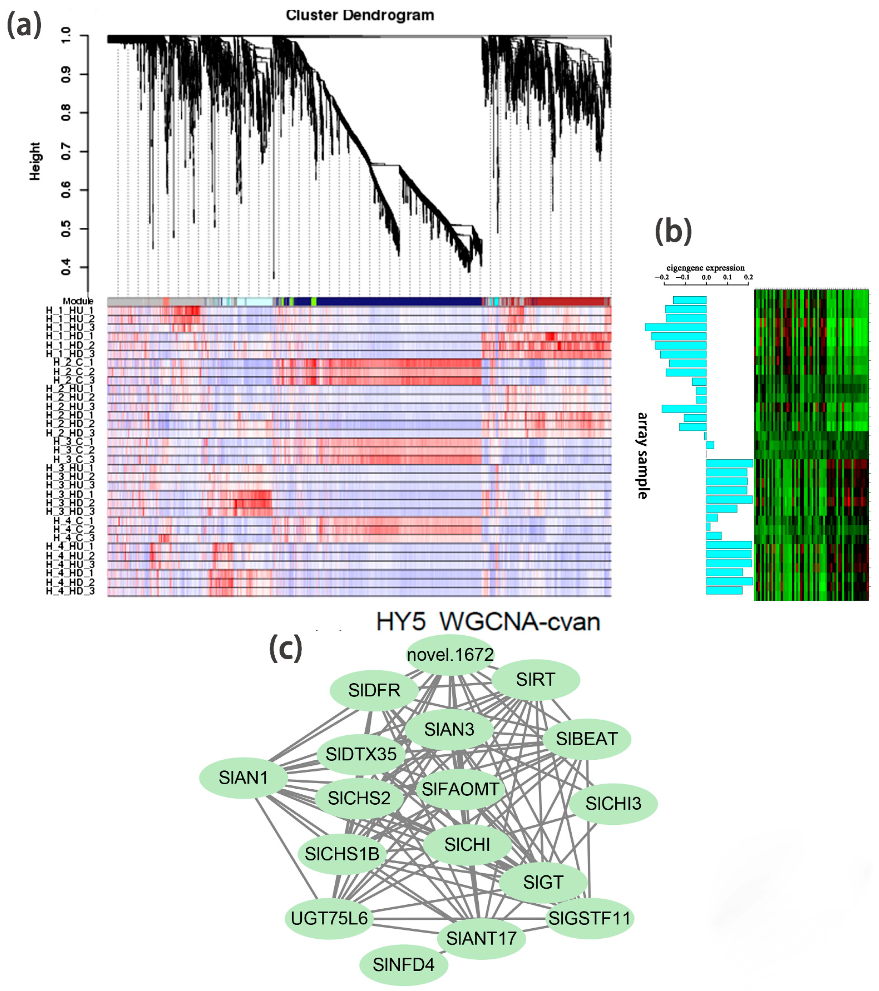 Ijms 24 08690 g005 Ijms 24 08690 g005