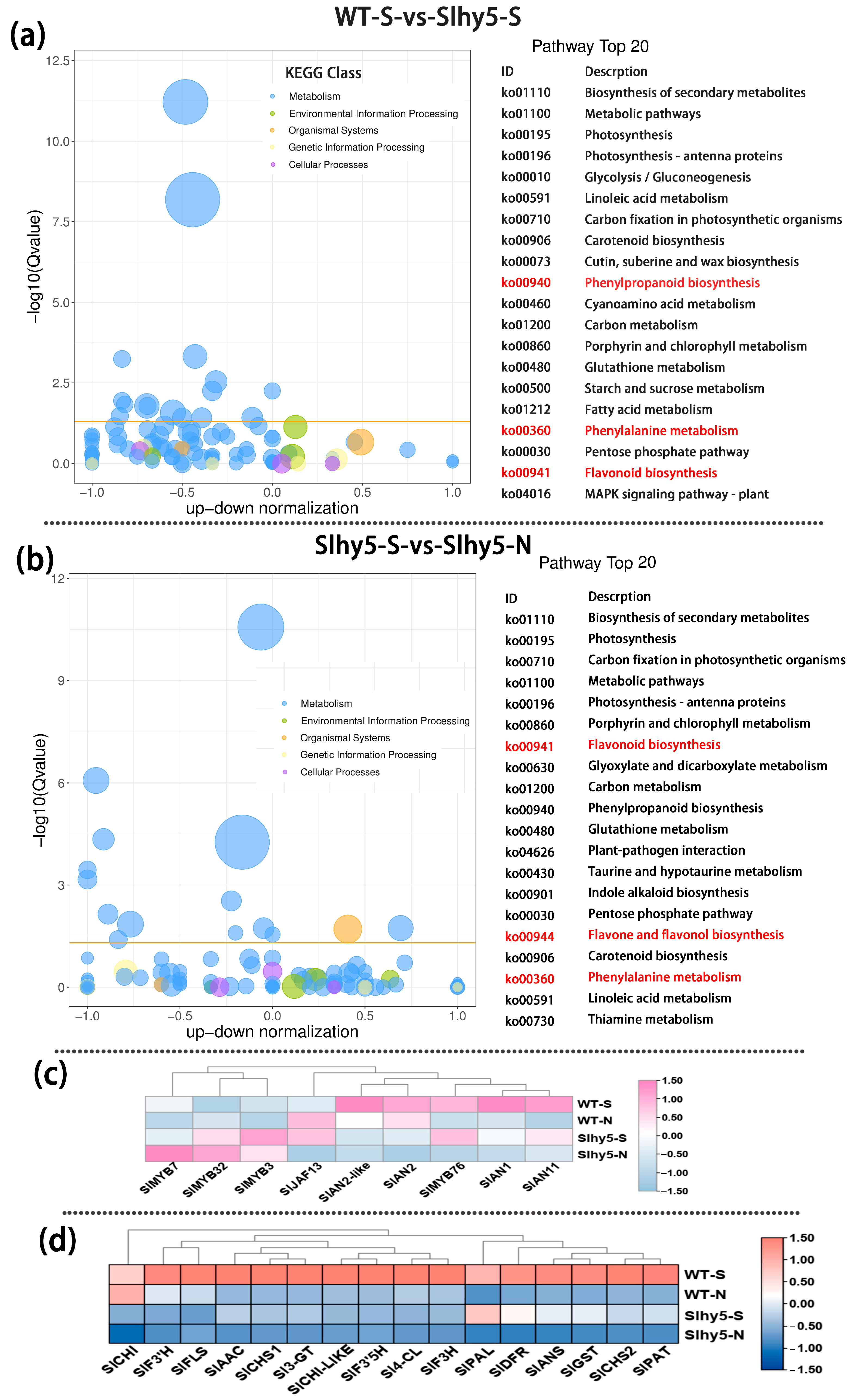 Ijms 24 08690 g006 Ijms 24 08690 g006