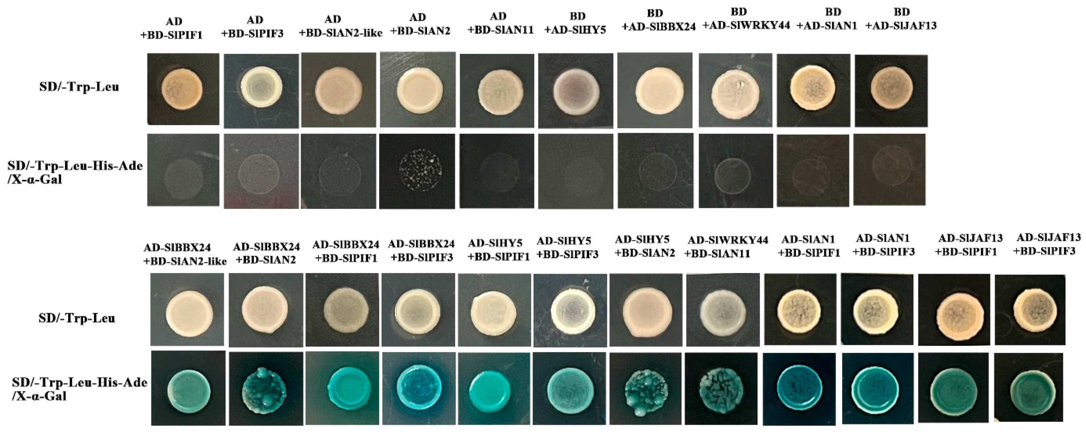 Ijms 24 08690 g007 Ijms 24 08690 g007