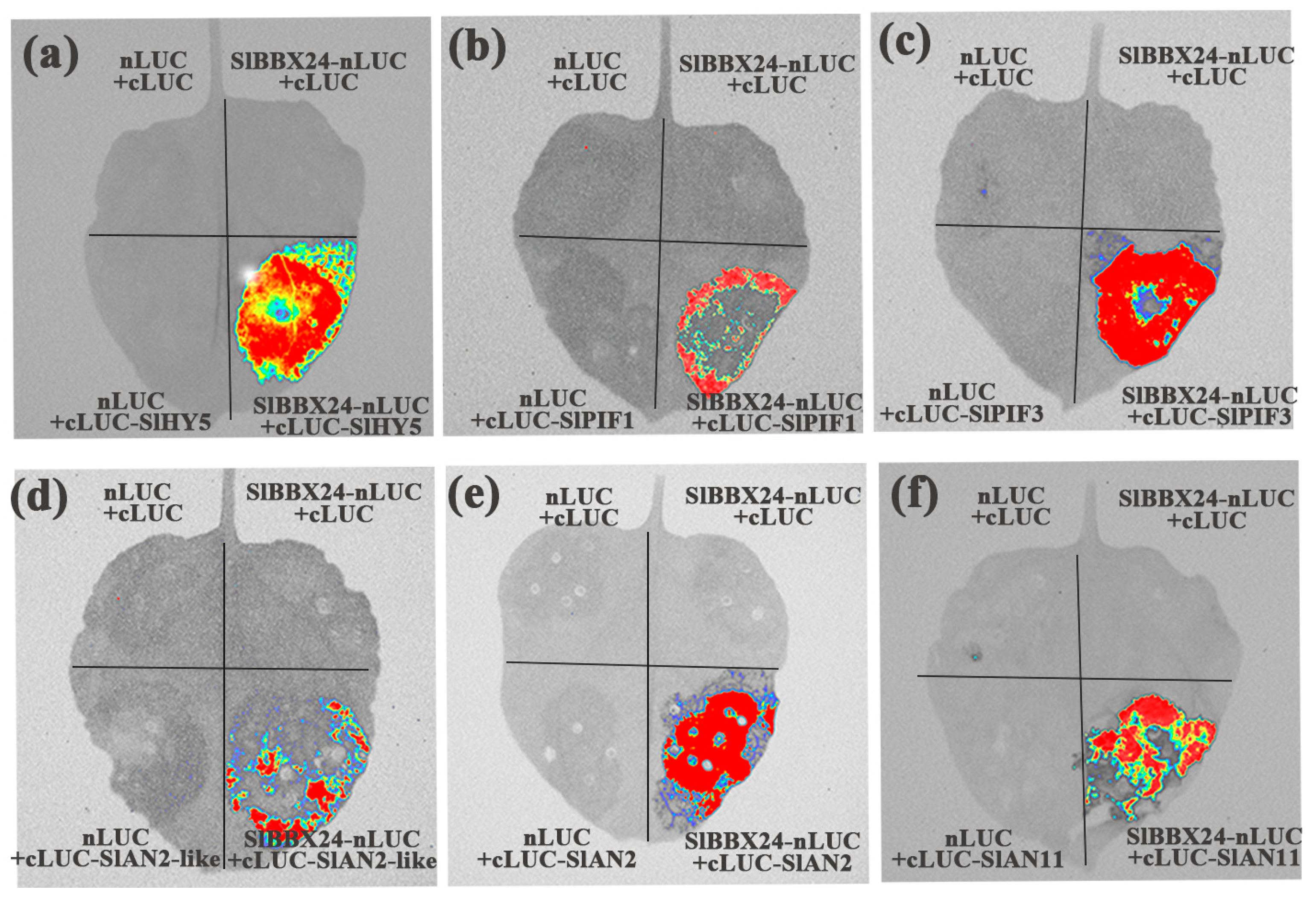 Ijms 24 08690 g008 Ijms 24 08690 g008