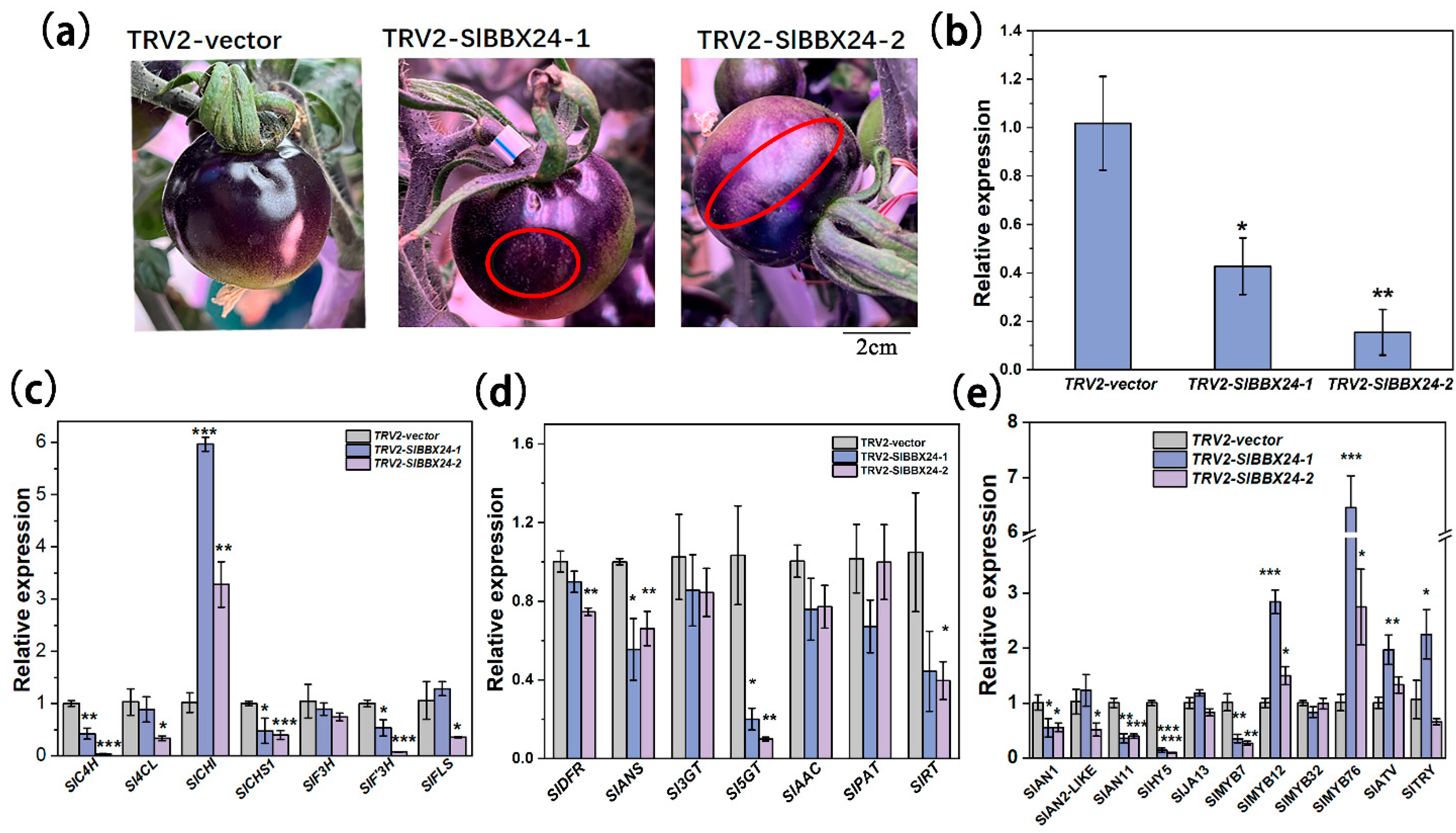 Ijms 24 08690 g009 Ijms 24 08690 g009
