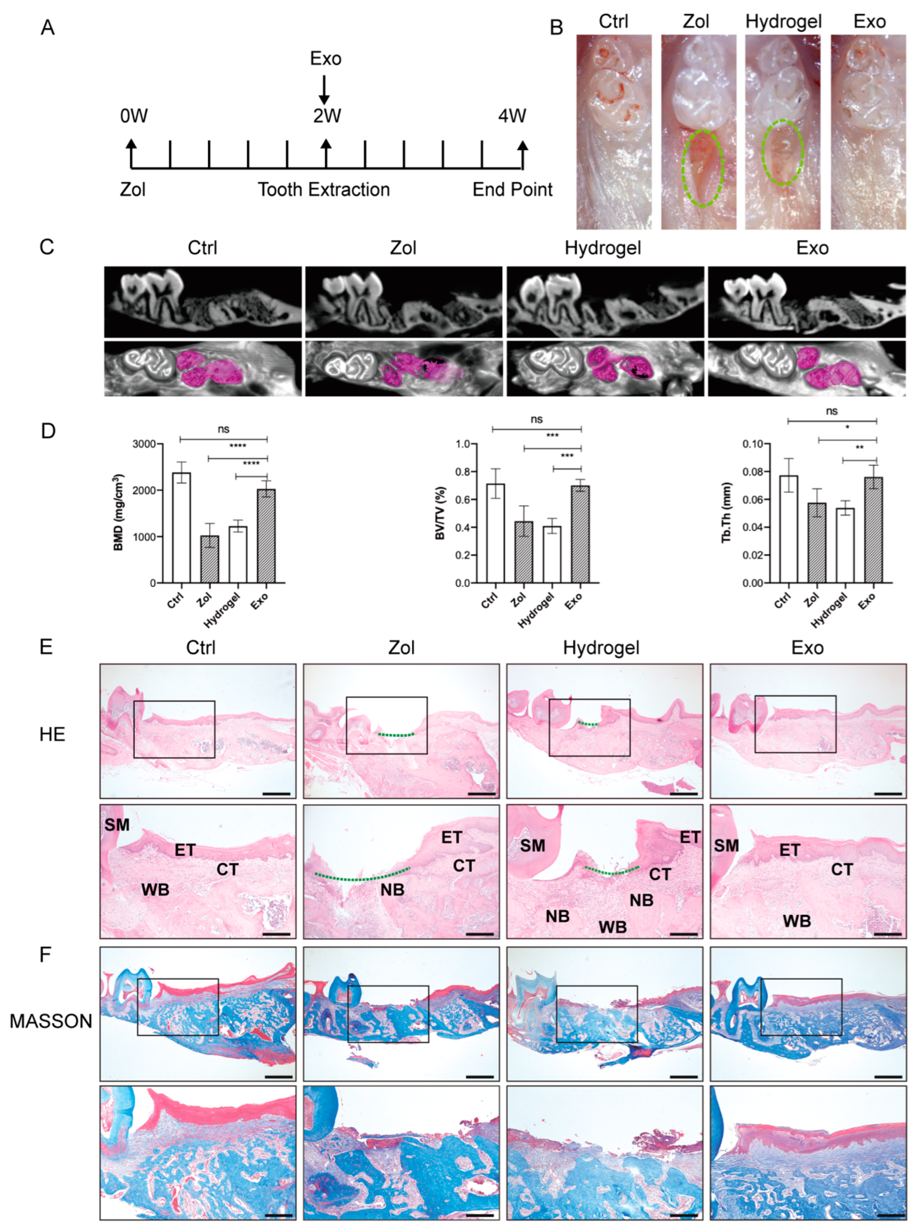 Ijms 24 08694 g002 Ijms 24 08694 g002
