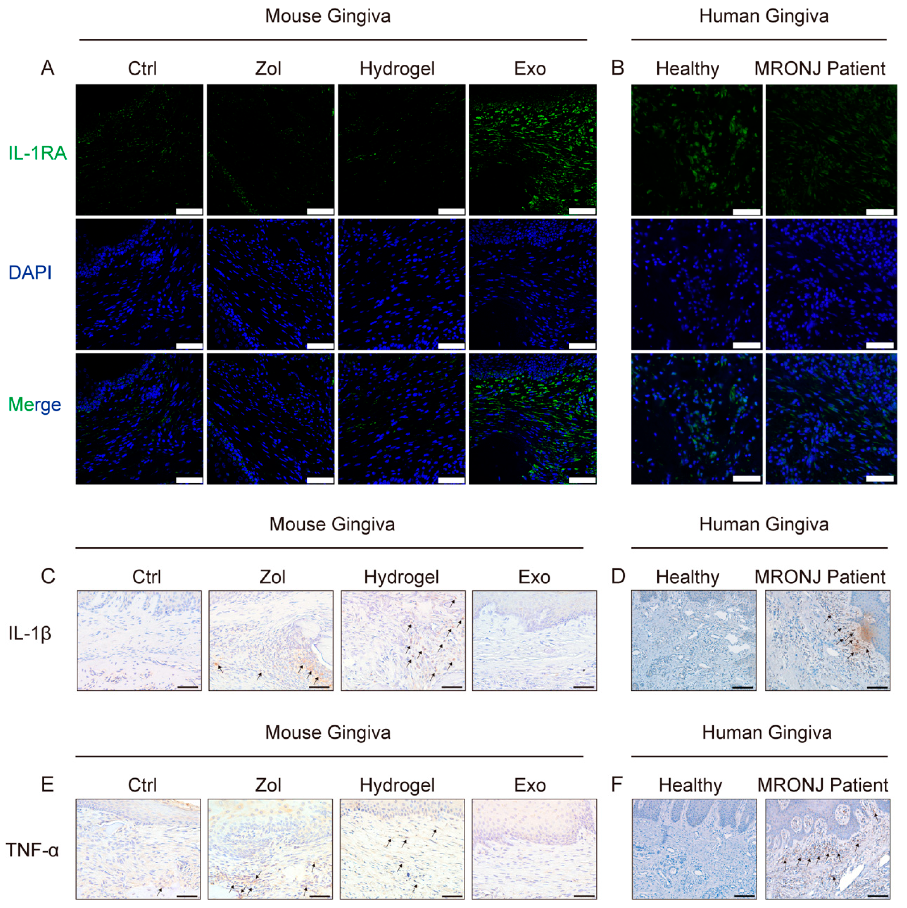 Ijms 24 08694 g003 Ijms 24 08694 g003