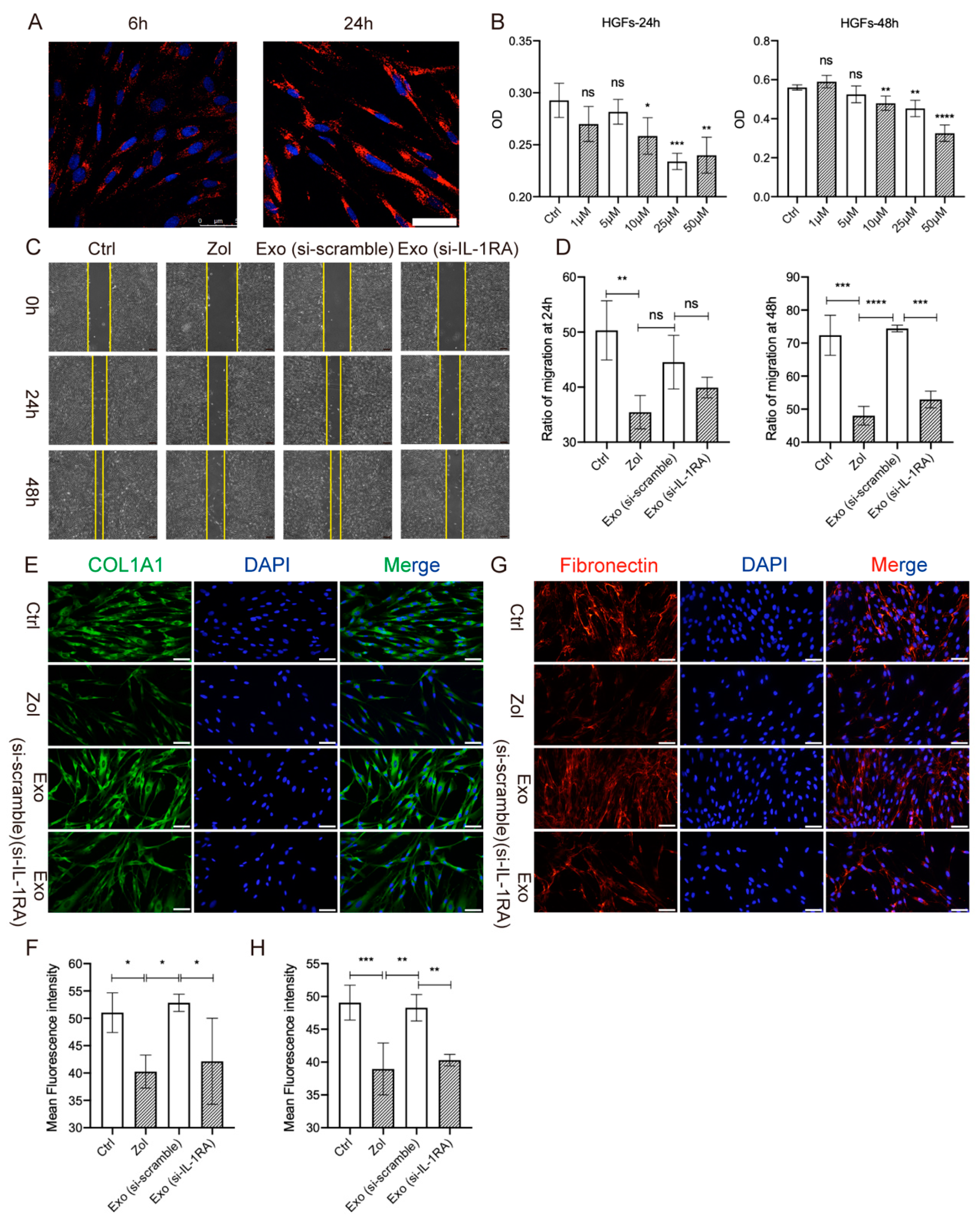 Ijms 24 08694 g006 Ijms 24 08694 g006