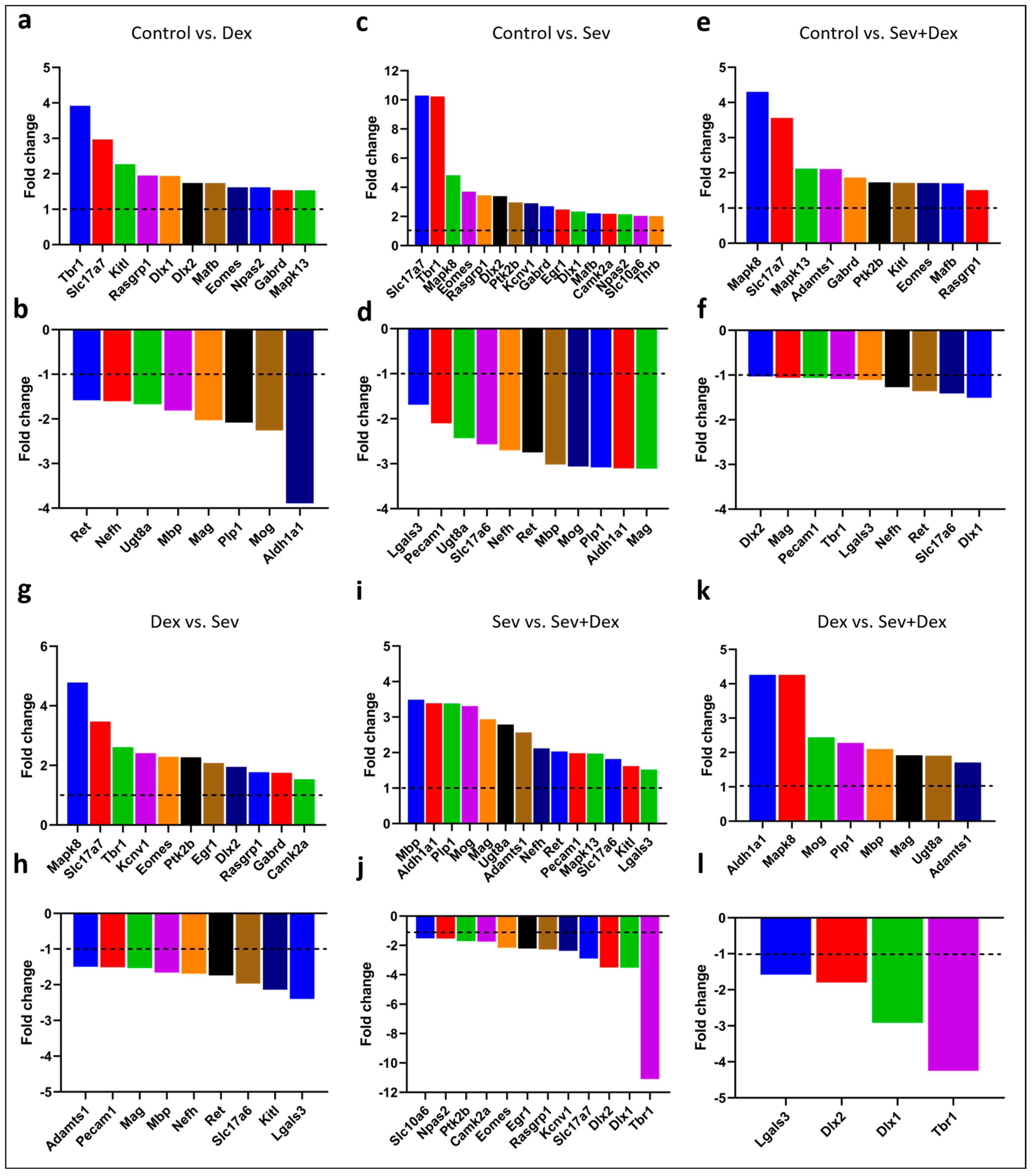 Ijms 24 08696 g007 Ijms 24 08696 g007