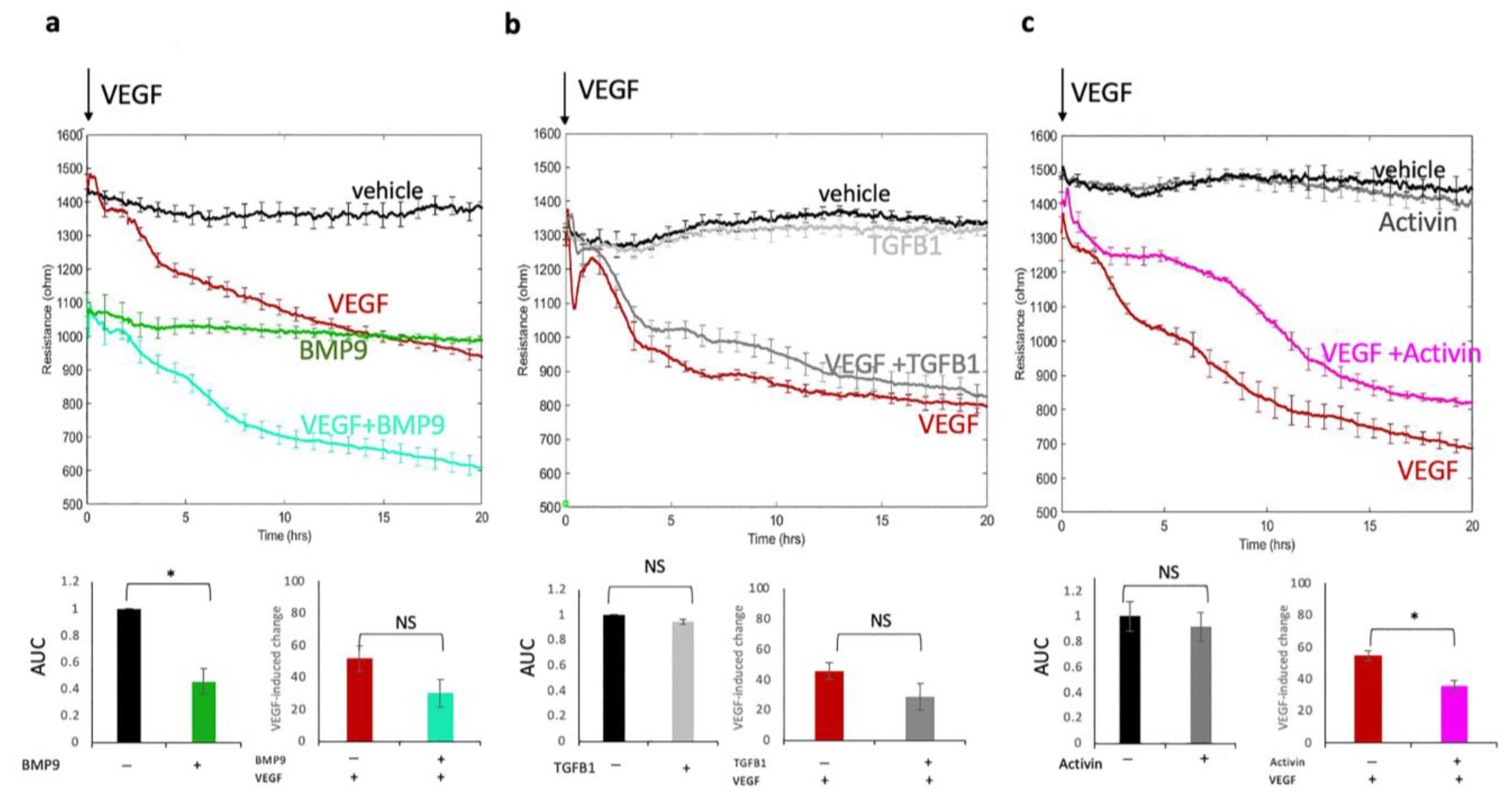 Ijms 24 08698 g001 Ijms 24 08698 g001
