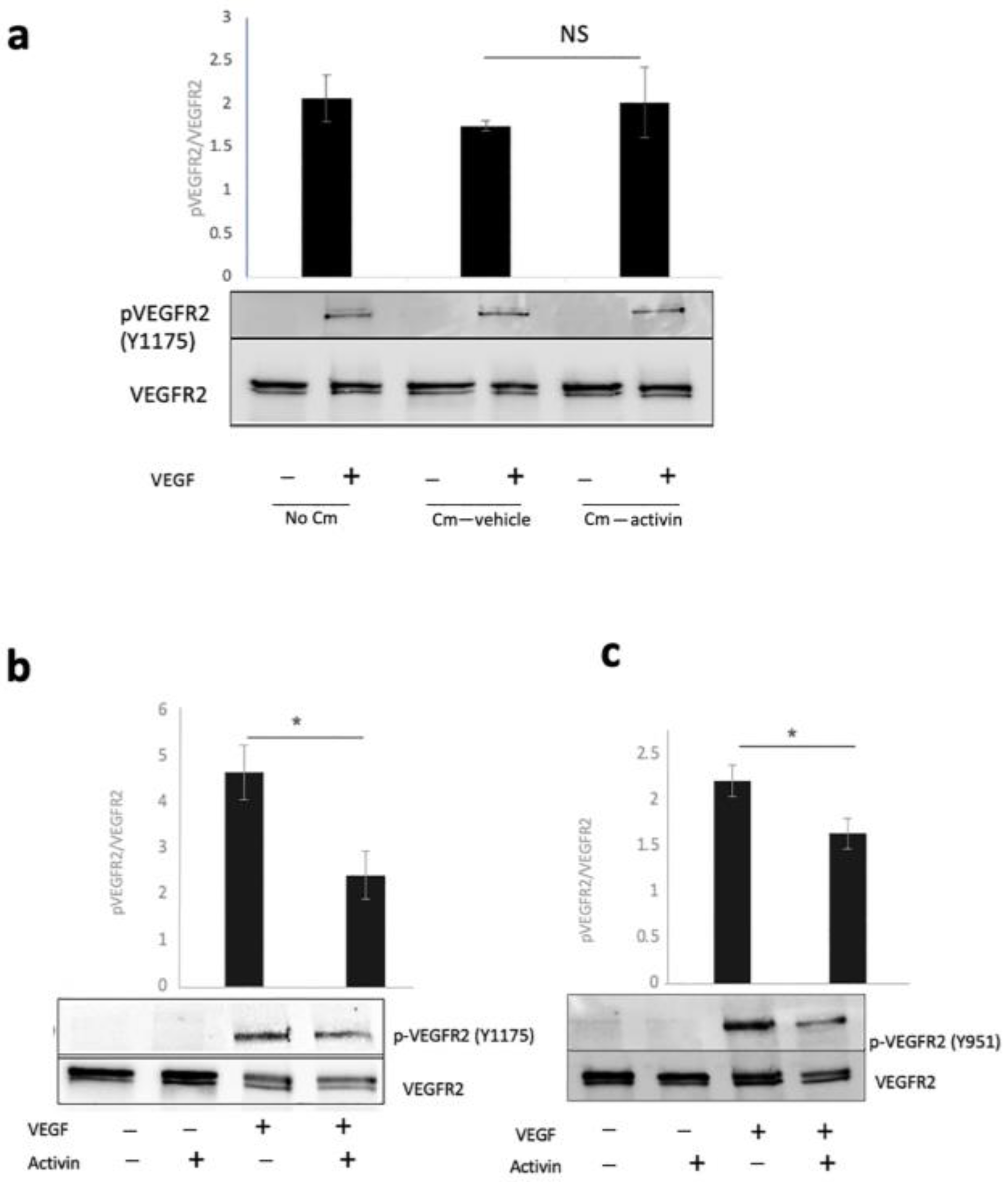 Ijms 24 08698 g003 Ijms 24 08698 g003