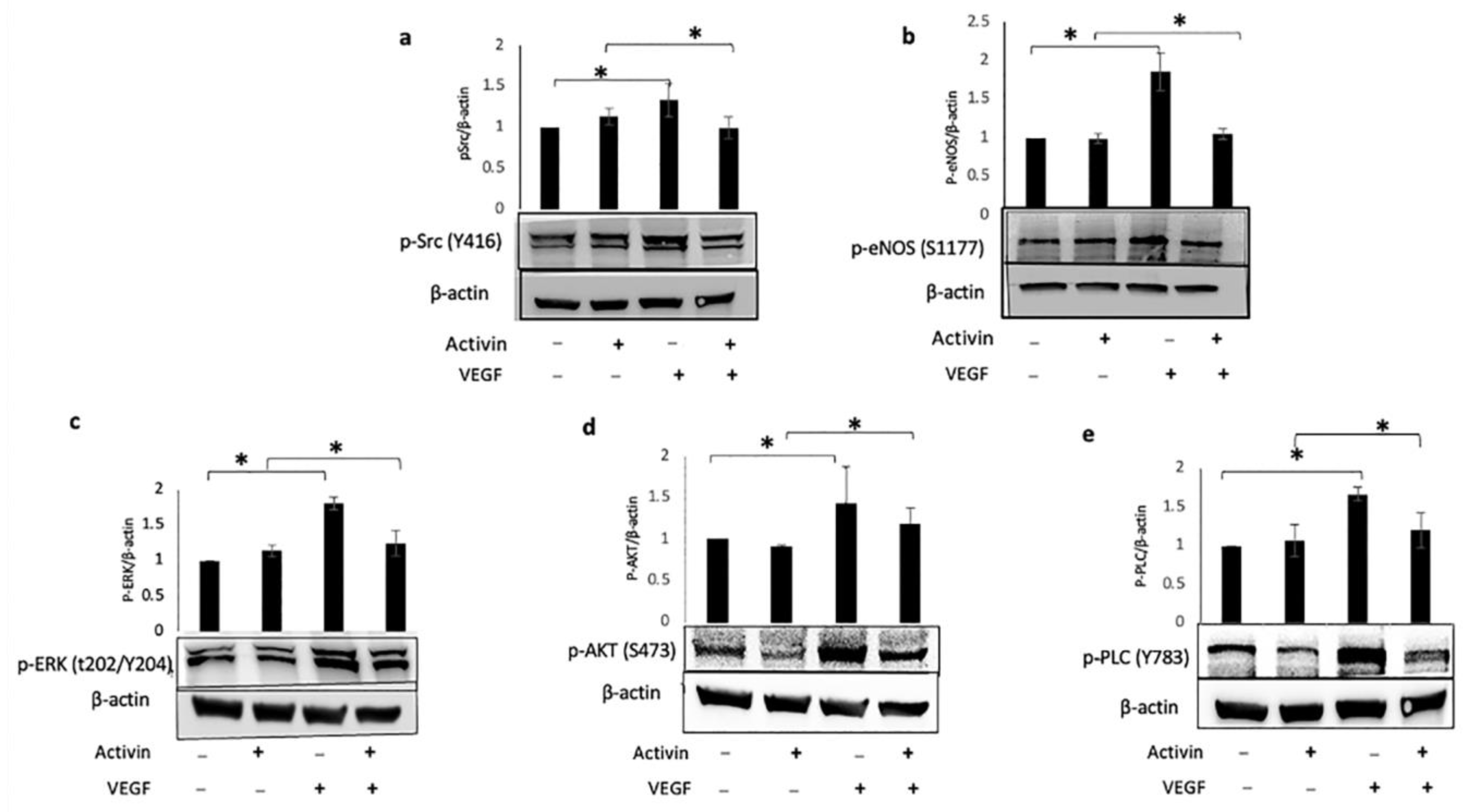 Ijms 24 08698 g004 Ijms 24 08698 g004