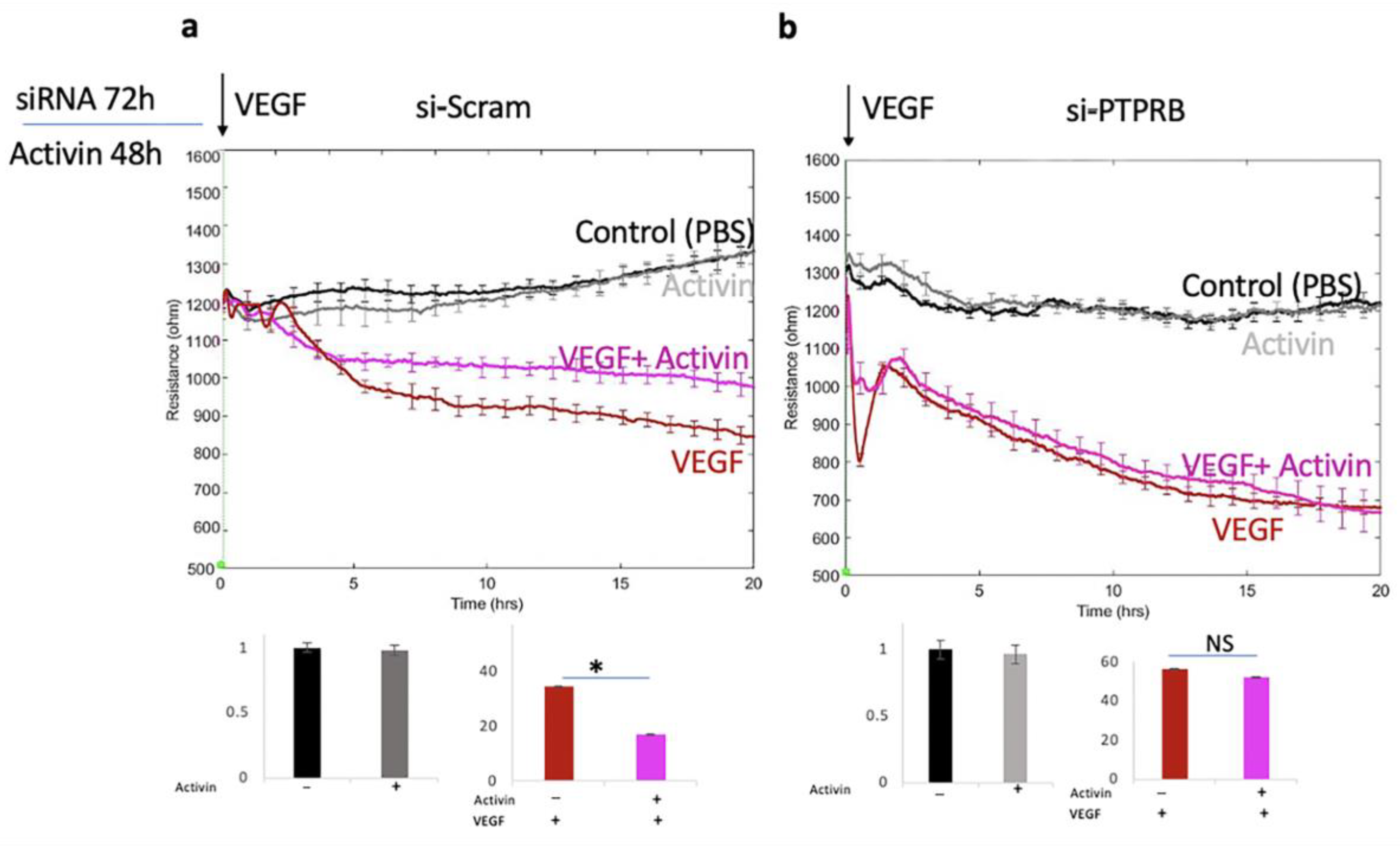Ijms 24 08698 g006 Ijms 24 08698 g006