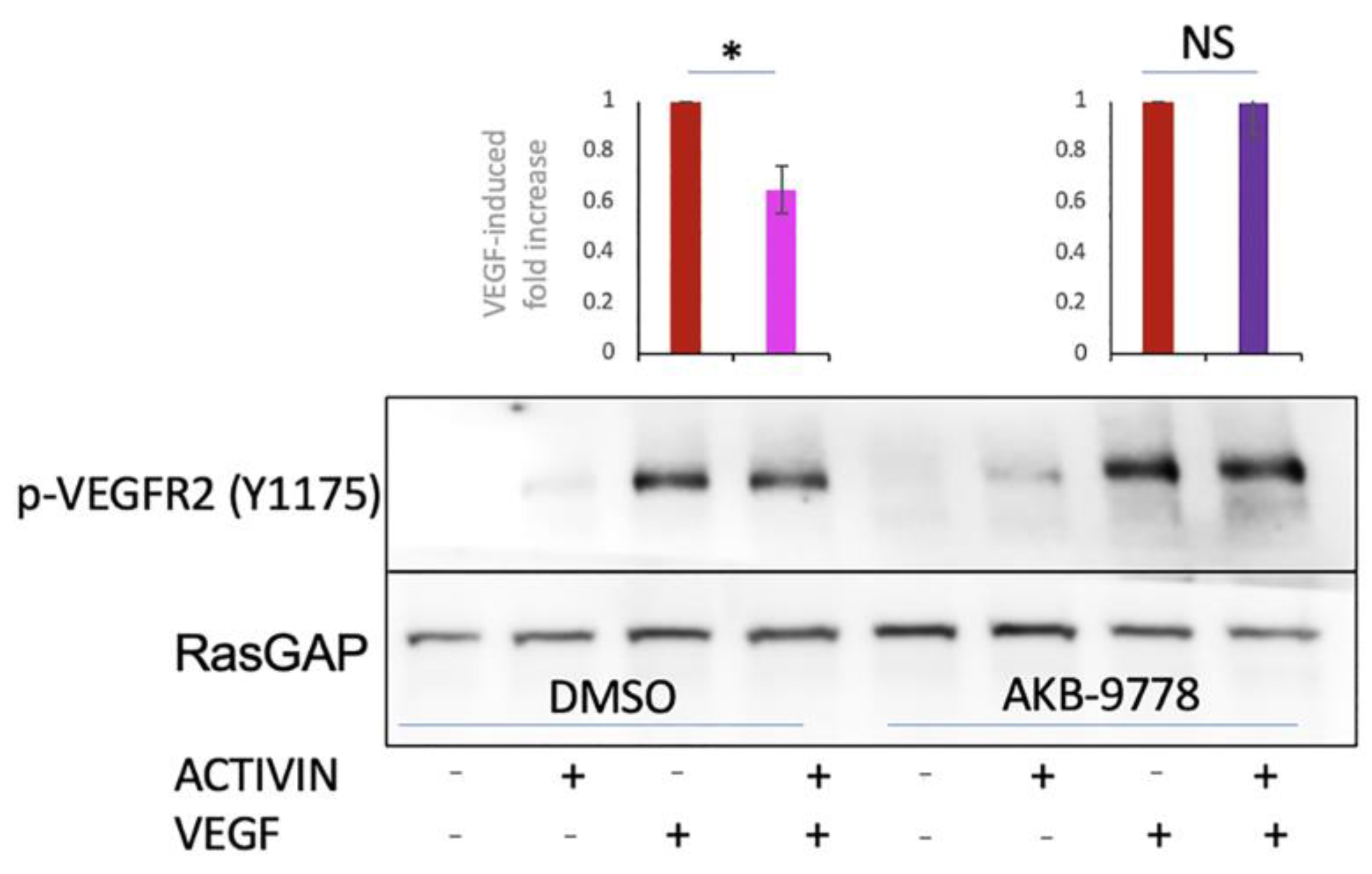 Ijms 24 08698 g007 Ijms 24 08698 g007