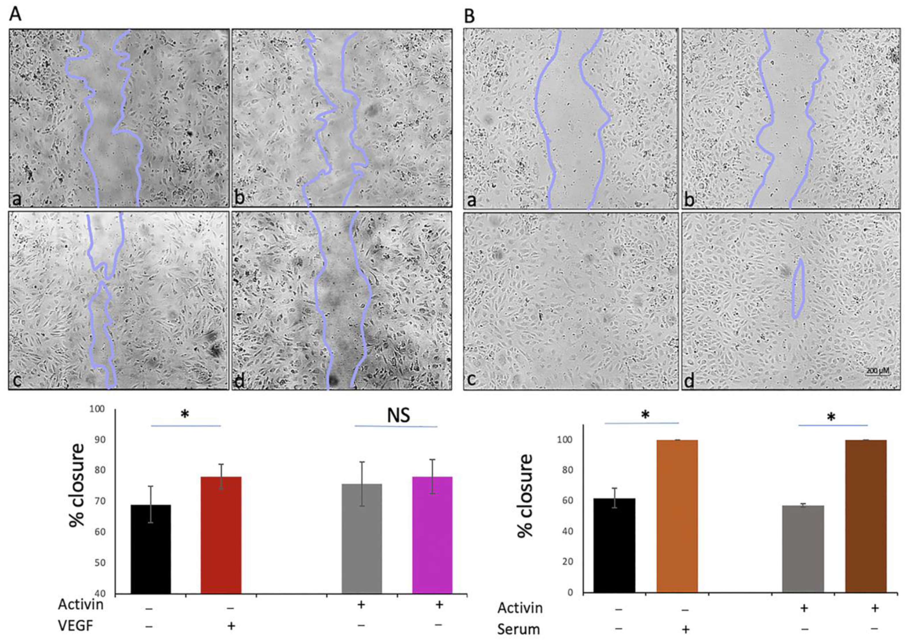 Ijms 24 08698 g008 Ijms 24 08698 g008
