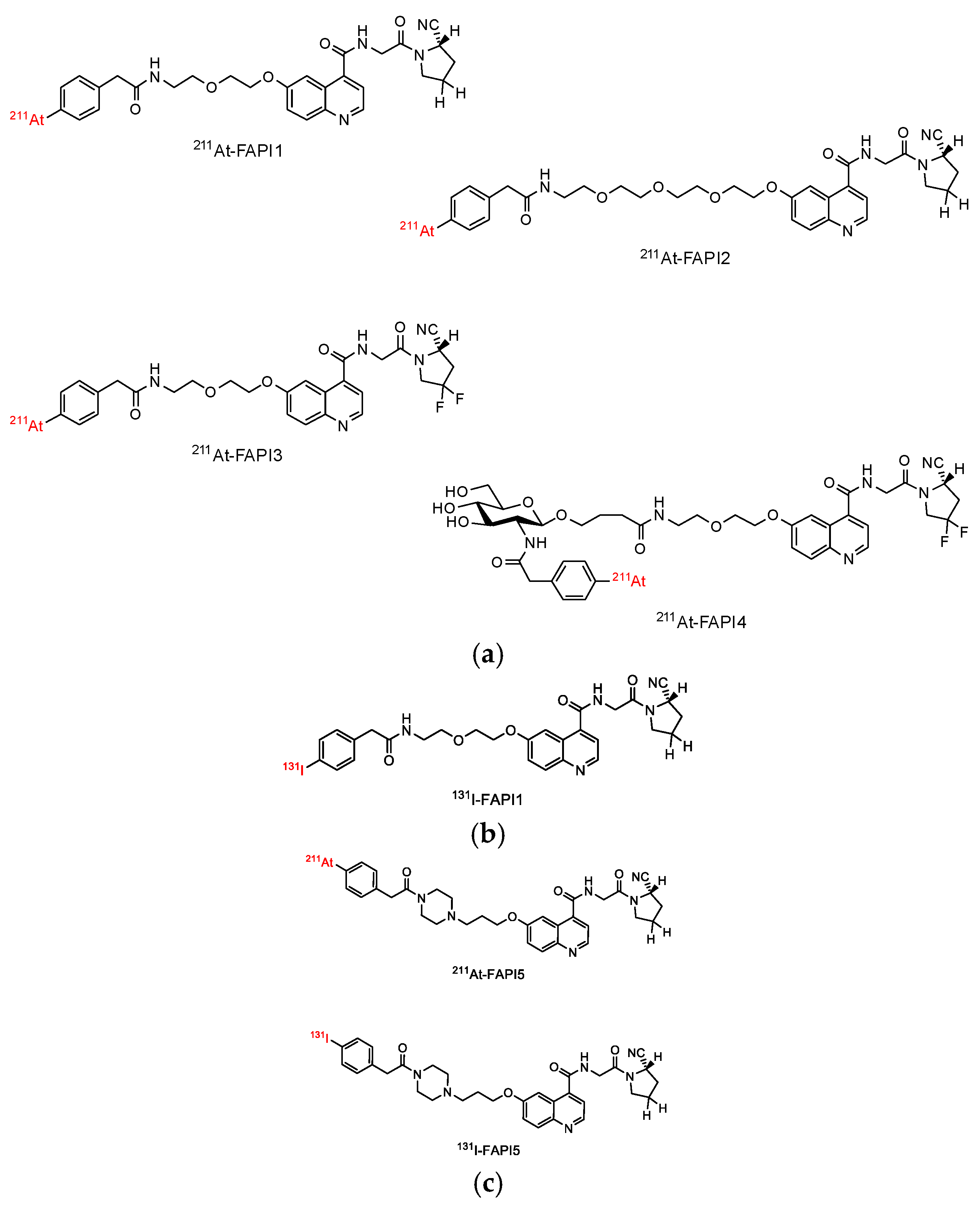 Evaluation of Astatine-211-Labeled Fibroblast Activation Protein 