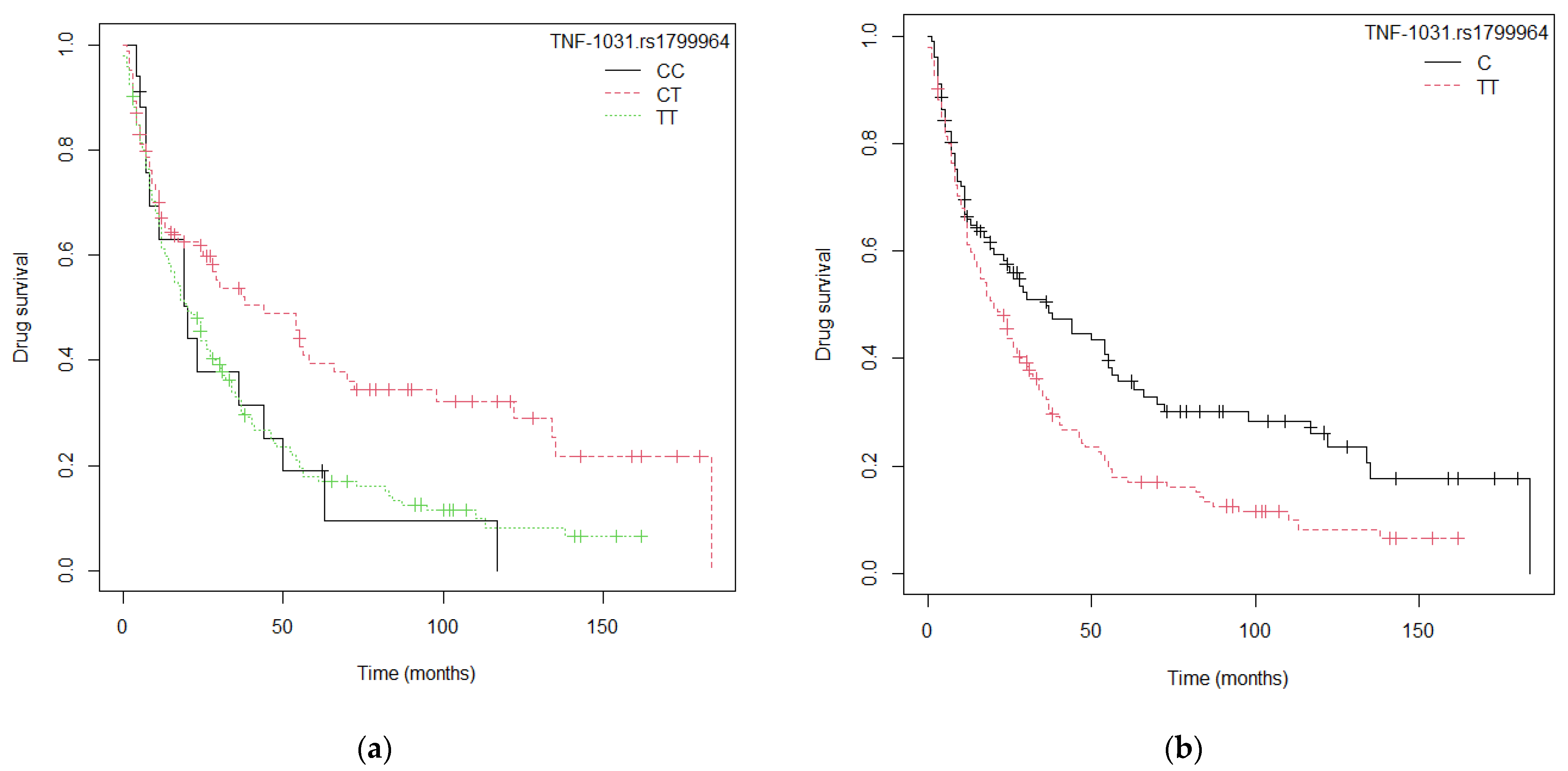 Ijms 24 08703 g004 Ijms 24 08703 g004