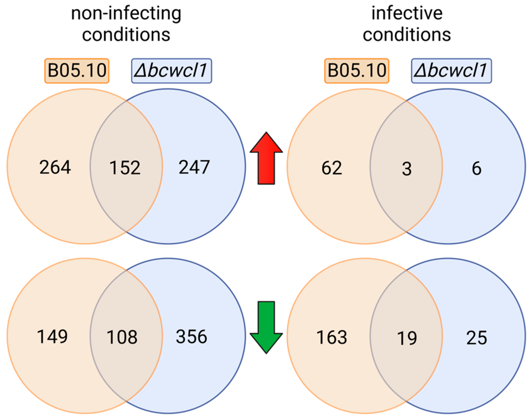 IJMS | Free Full-Text | Genome-Wide Characterization of Light-Regulated ...