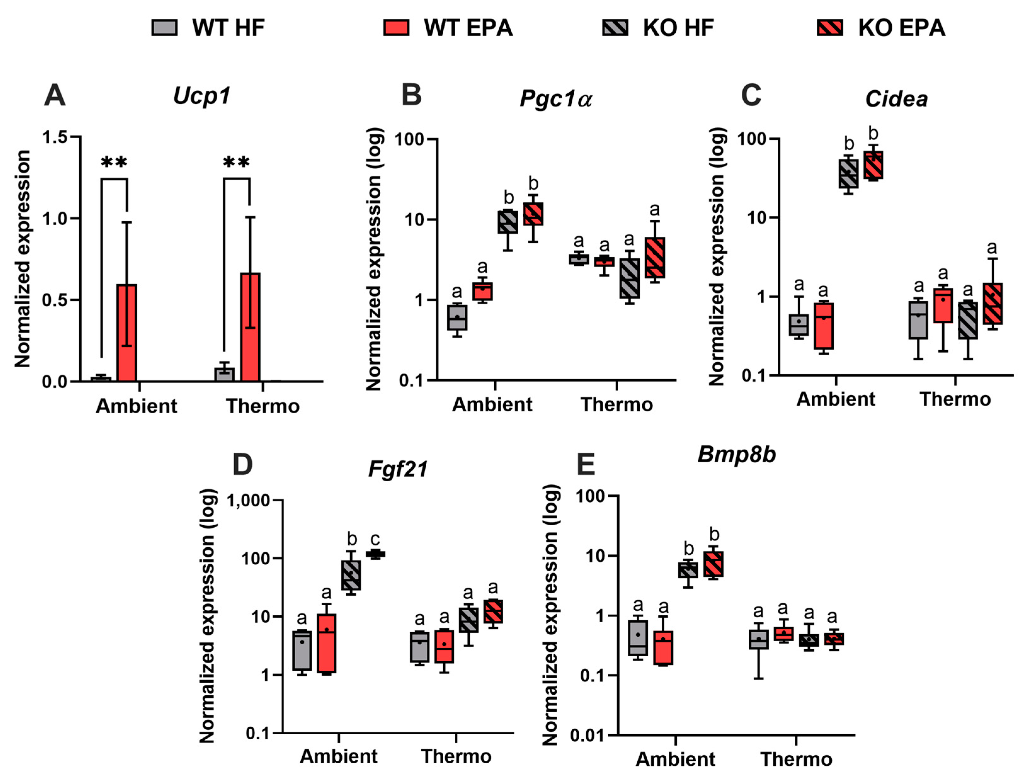 Ijms 24 08708 g004 Ijms 24 08708 g004