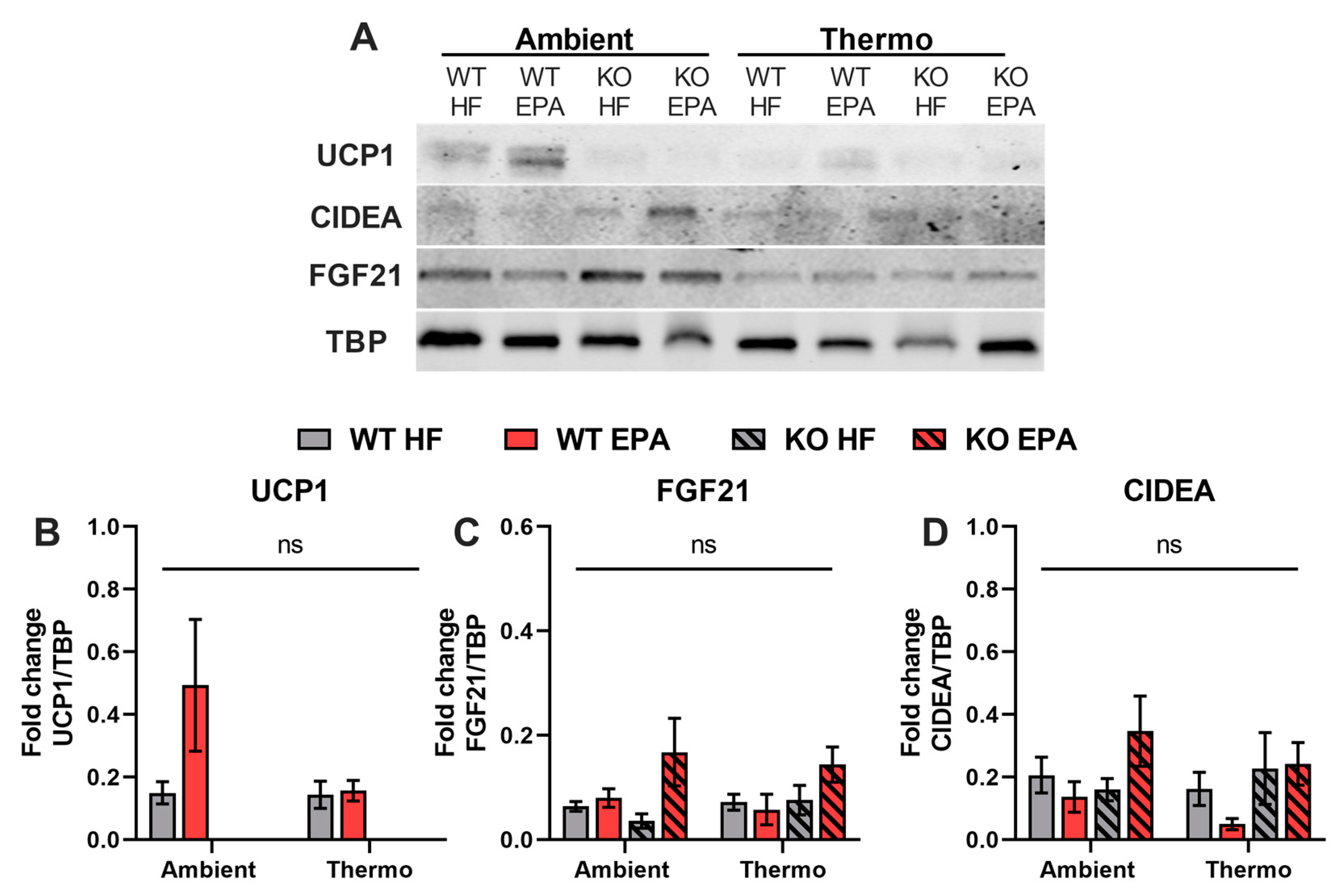 Ijms 24 08708 g005 Ijms 24 08708 g005