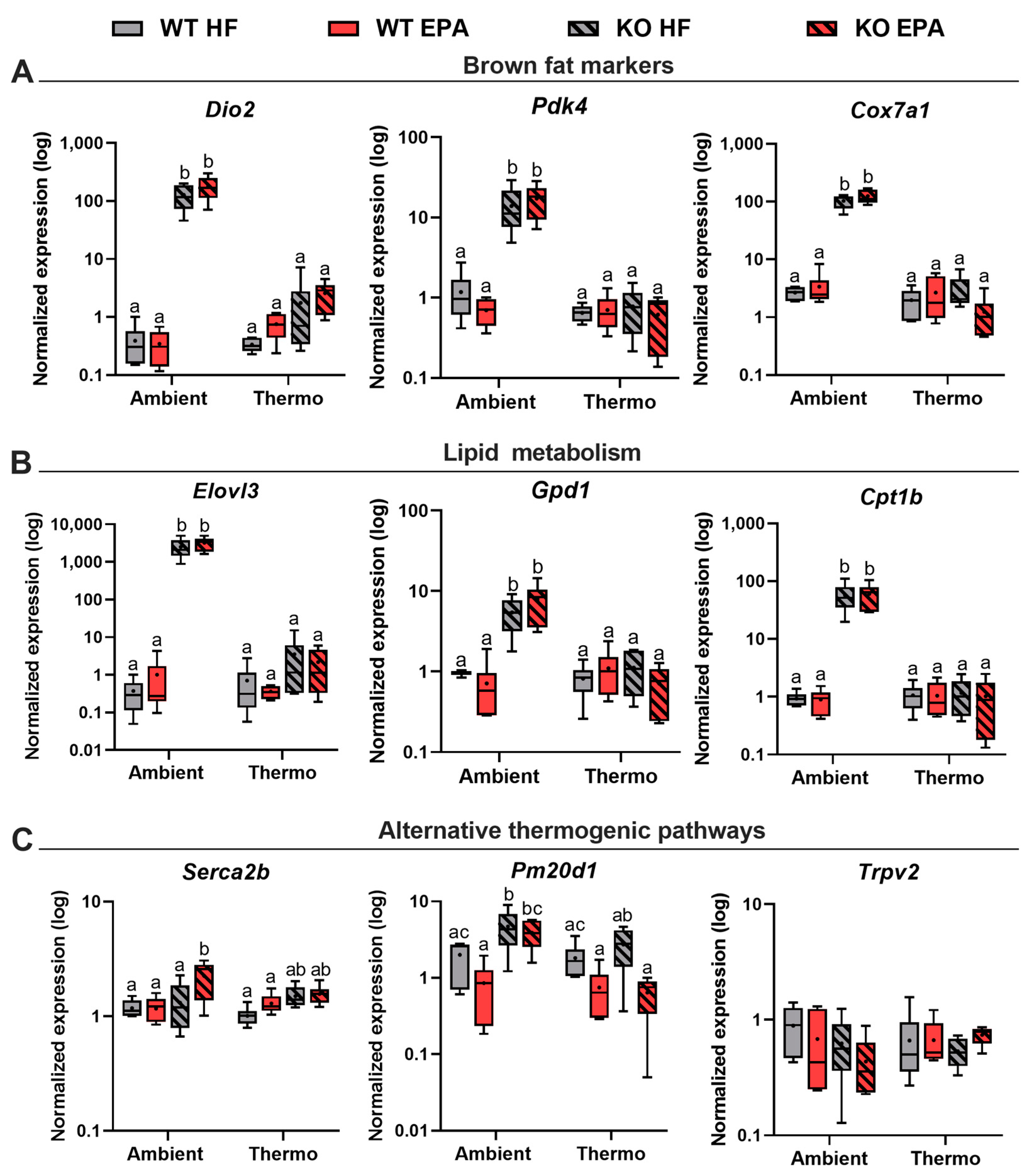 Ijms 24 08708 g006 Ijms 24 08708 g006