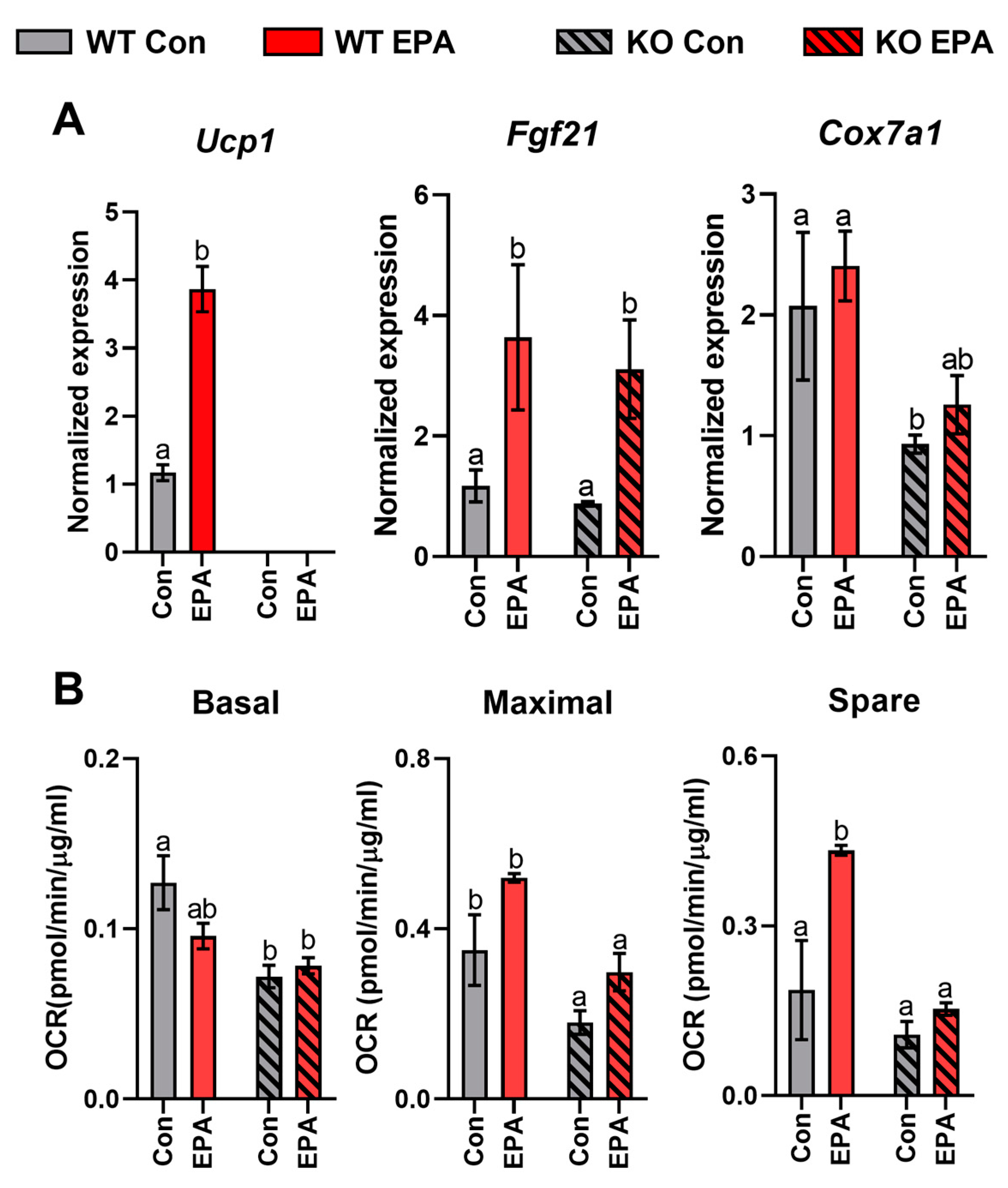 Ijms 24 08708 g007 Ijms 24 08708 g007