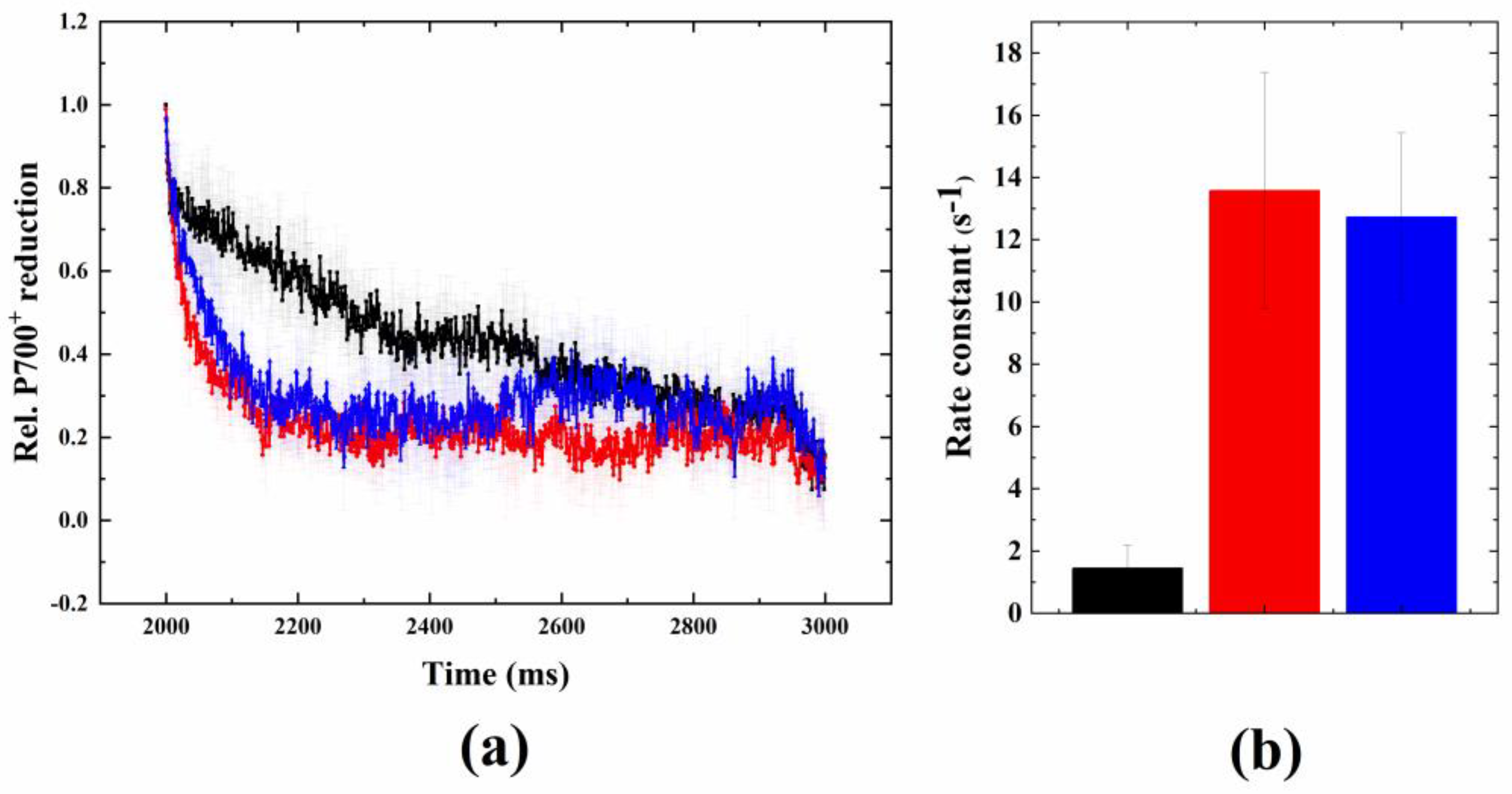Ijms 24 08712 g006 Ijms 24 08712 g006