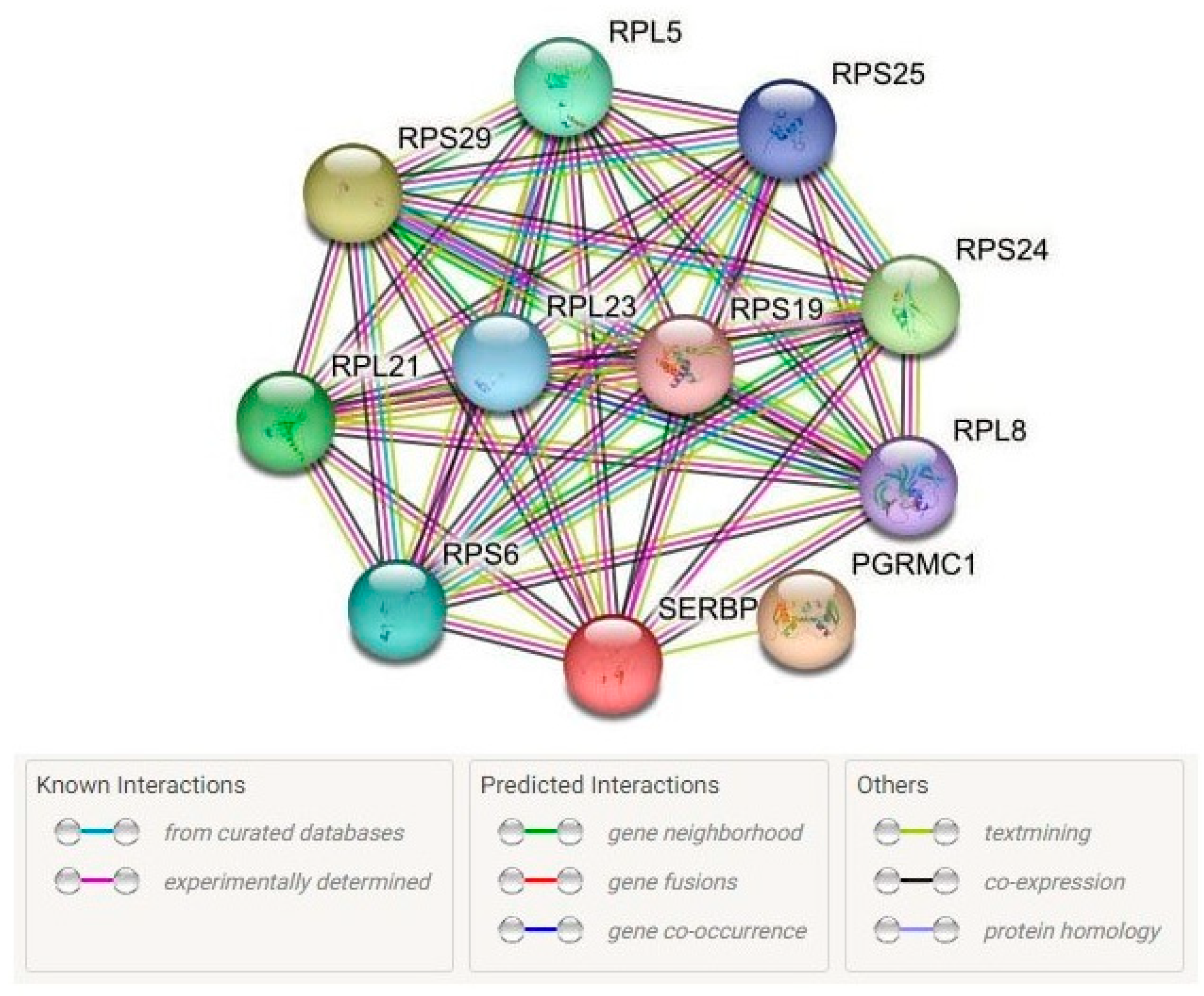 Ijms 24 08716 g002 Ijms 24 08716 g002