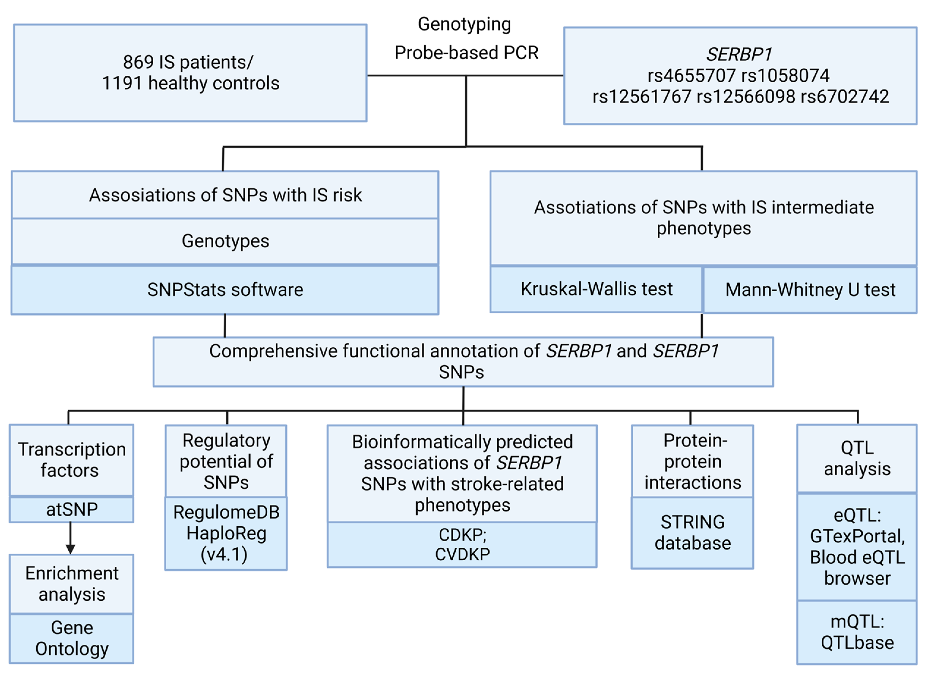 Ijms 24 08716 g003 Ijms 24 08716 g003