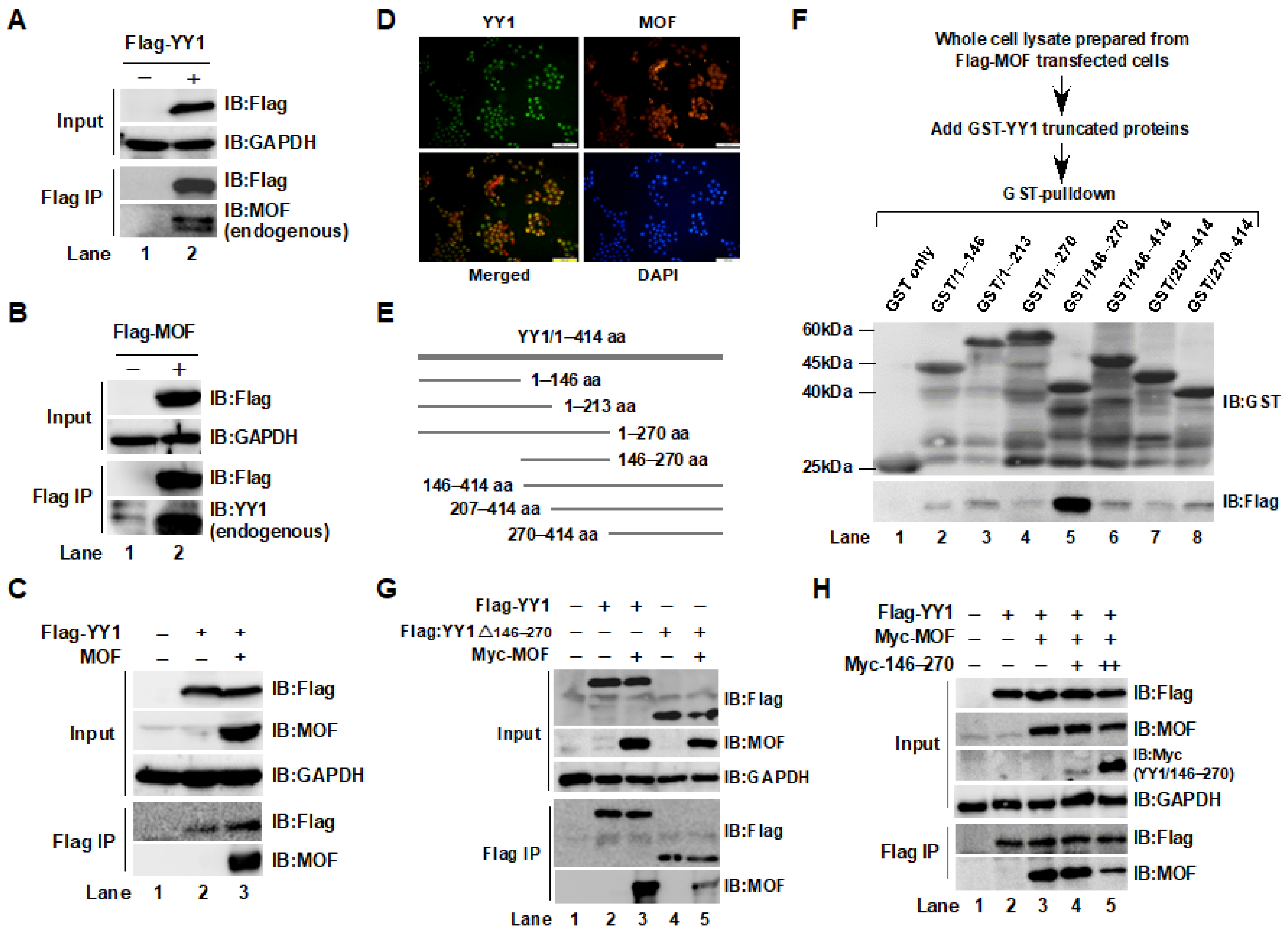 Ijms 24 08719 g001 Ijms 24 08719 g001