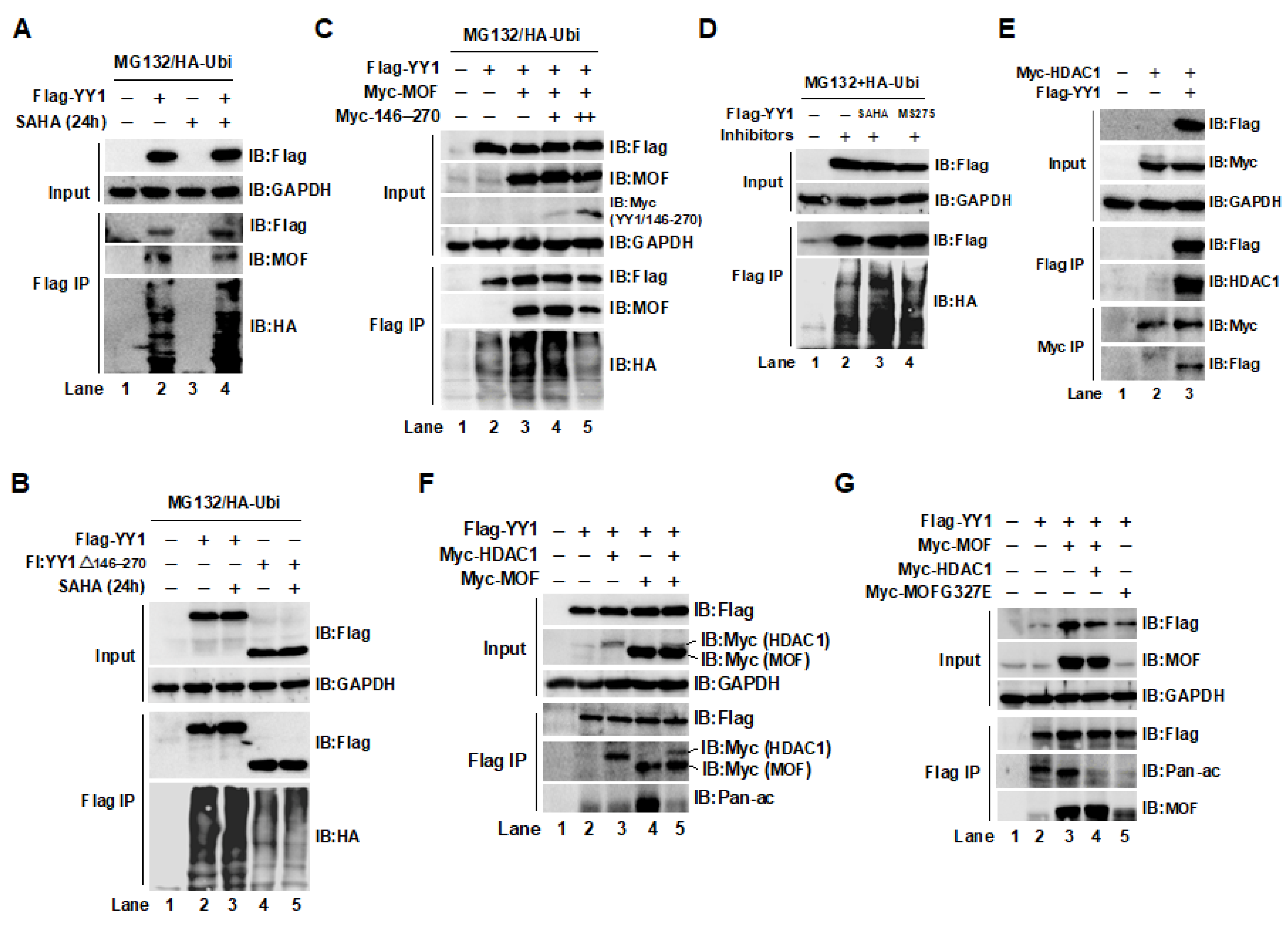Ijms 24 08719 g003 Ijms 24 08719 g003