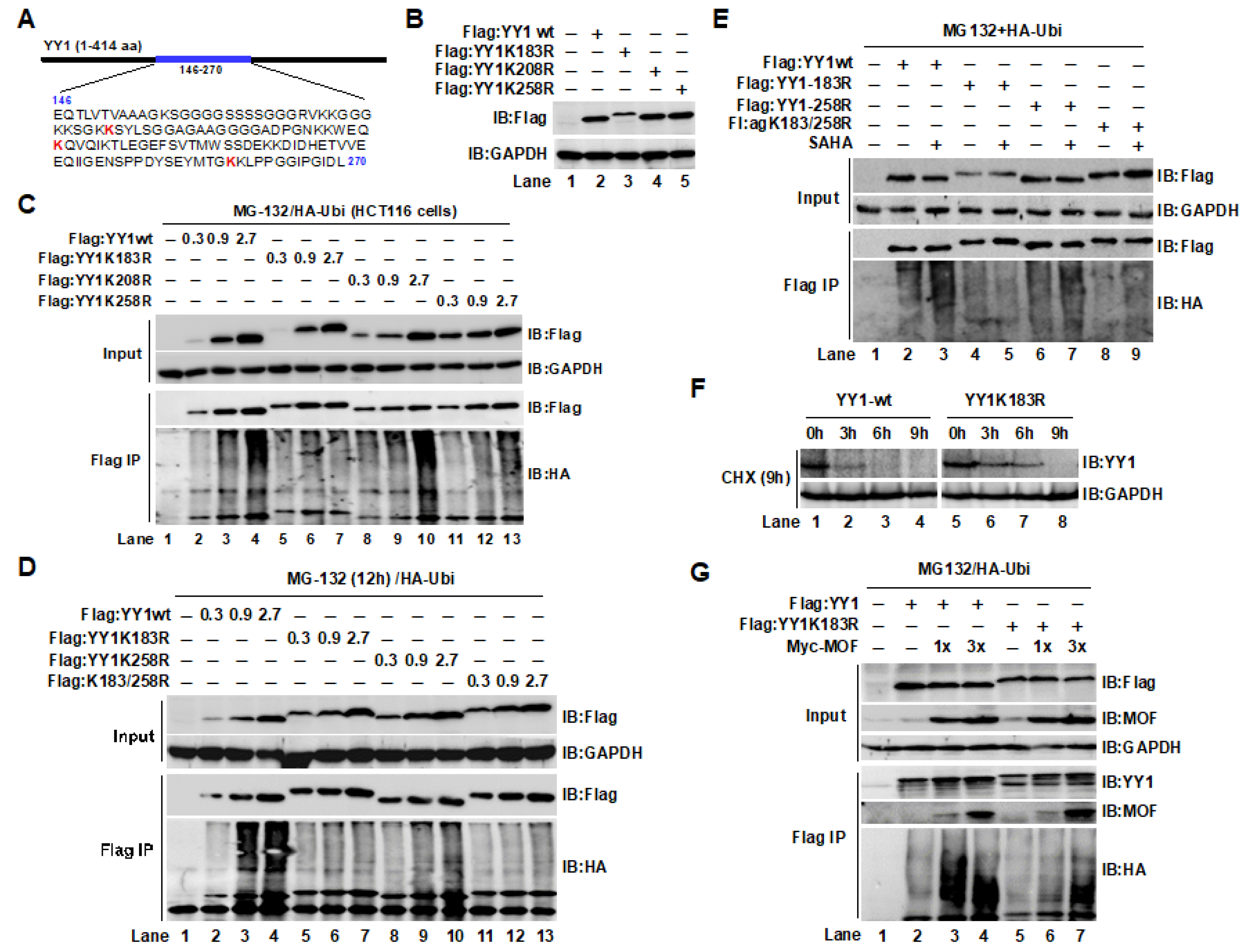 Ijms 24 08719 g004 Ijms 24 08719 g004