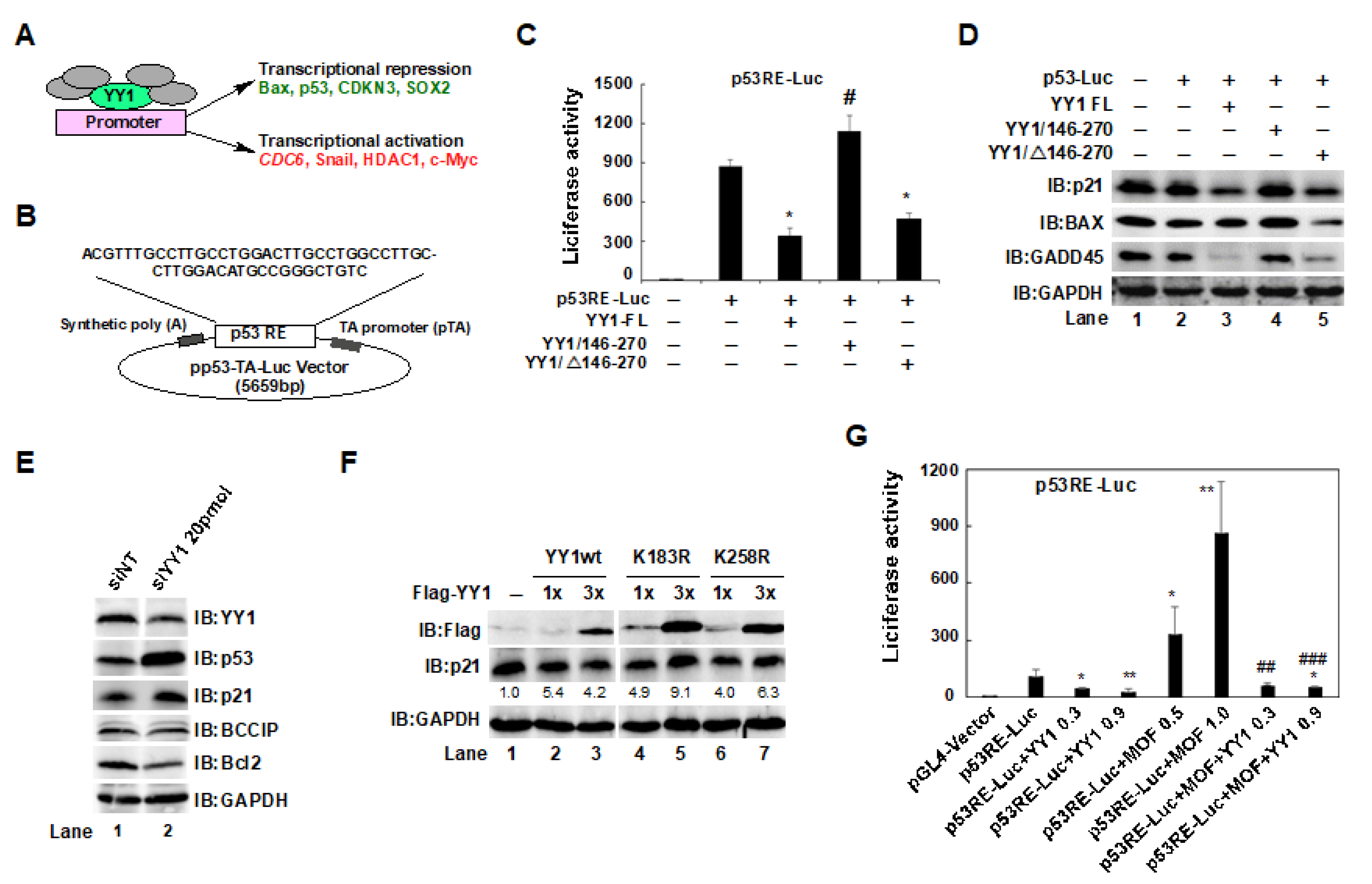 Ijms 24 08719 g005 Ijms 24 08719 g005
