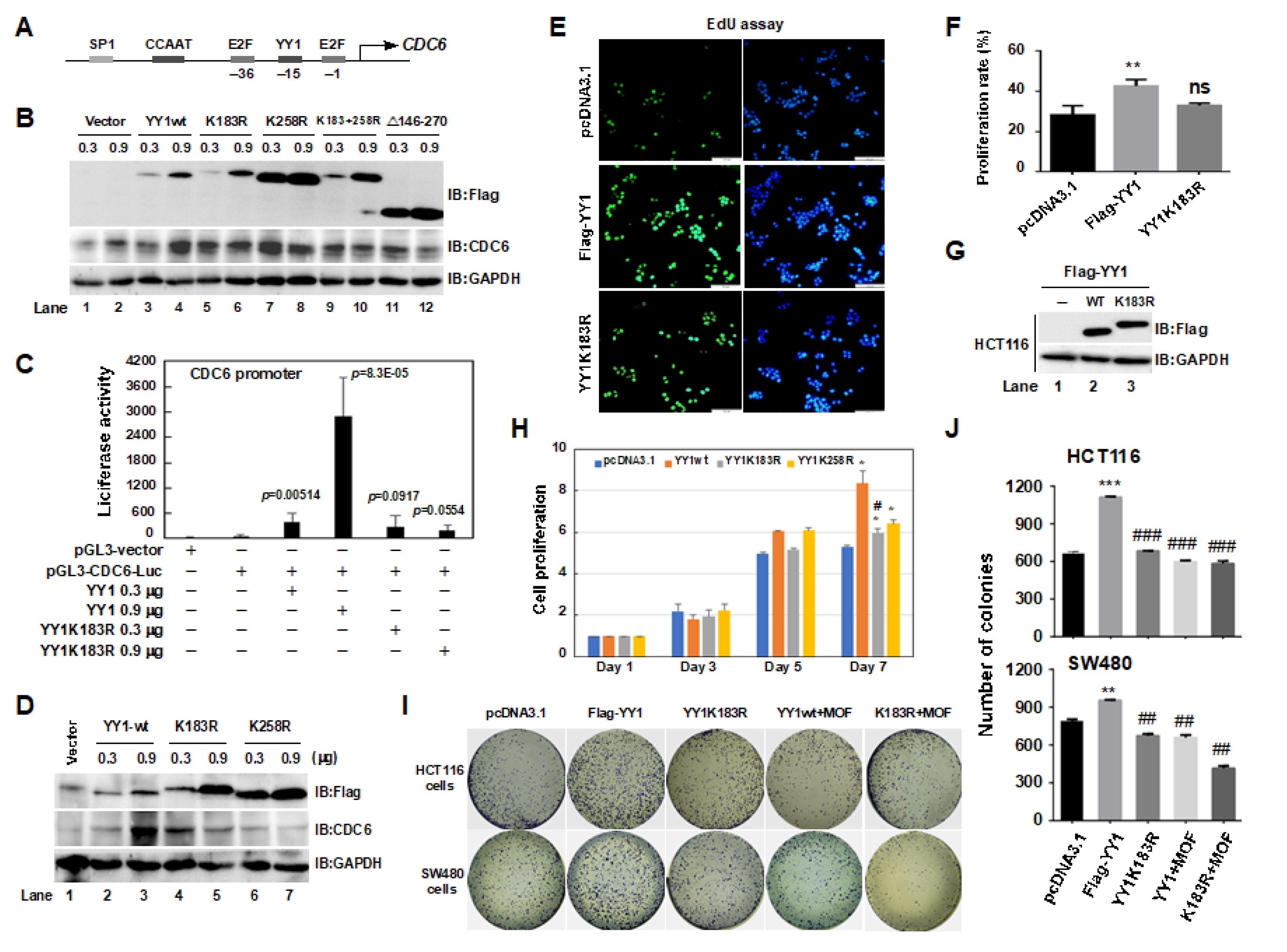 Ijms 24 08719 g006 Ijms 24 08719 g006