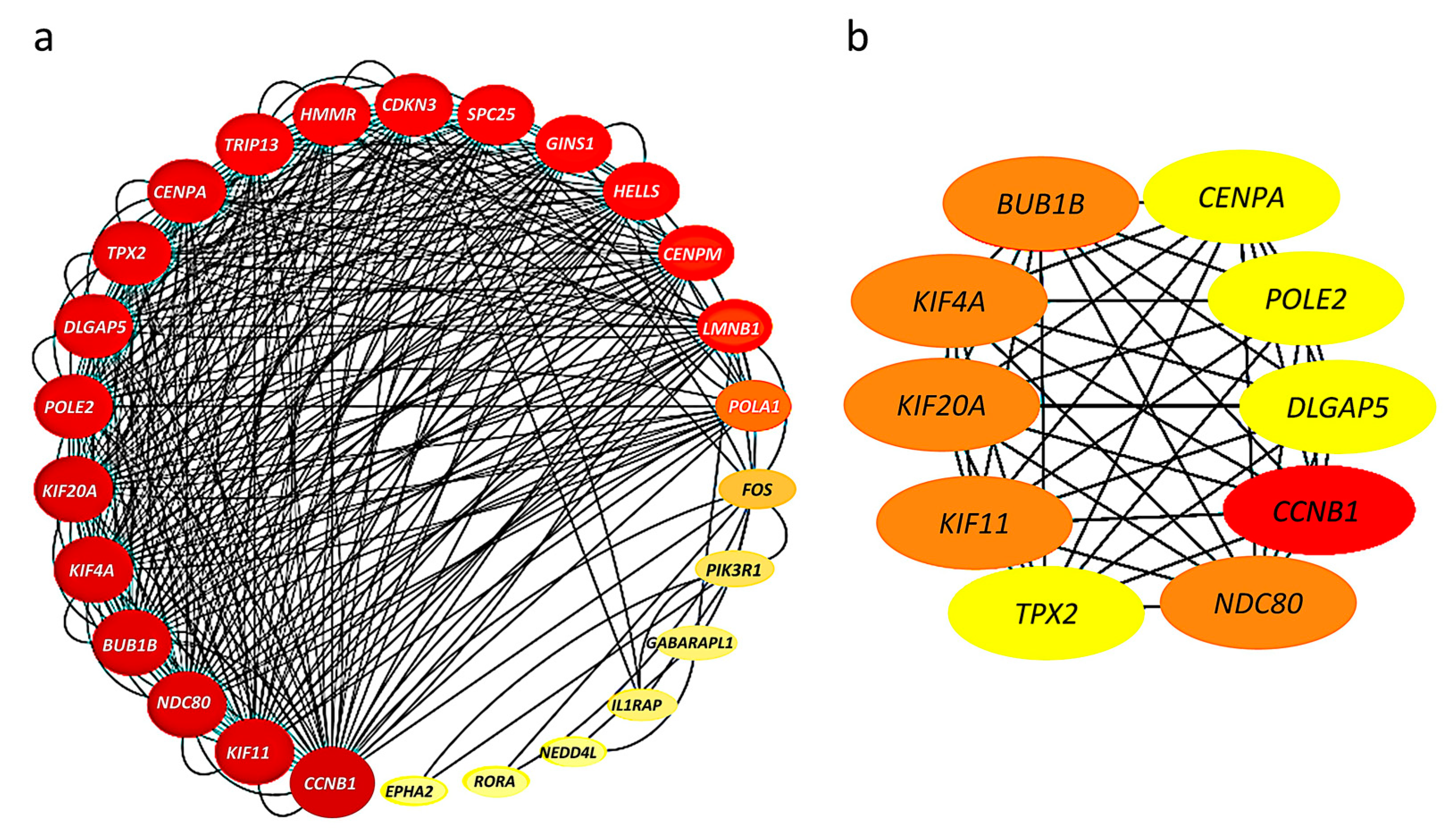 Ijms 24 08720 g003 Ijms 24 08720 g003