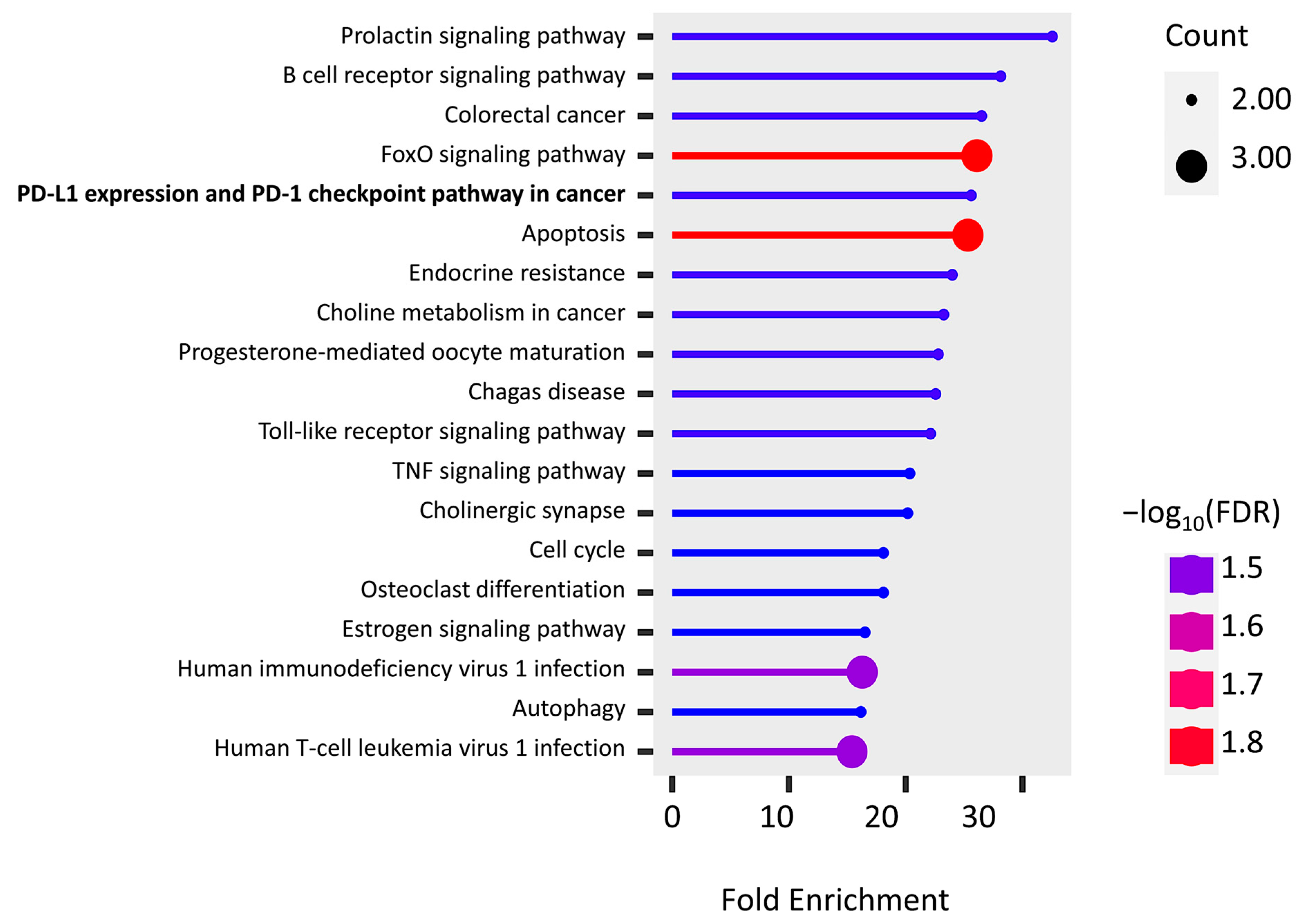 Ijms 24 08720 g005 Ijms 24 08720 g005
