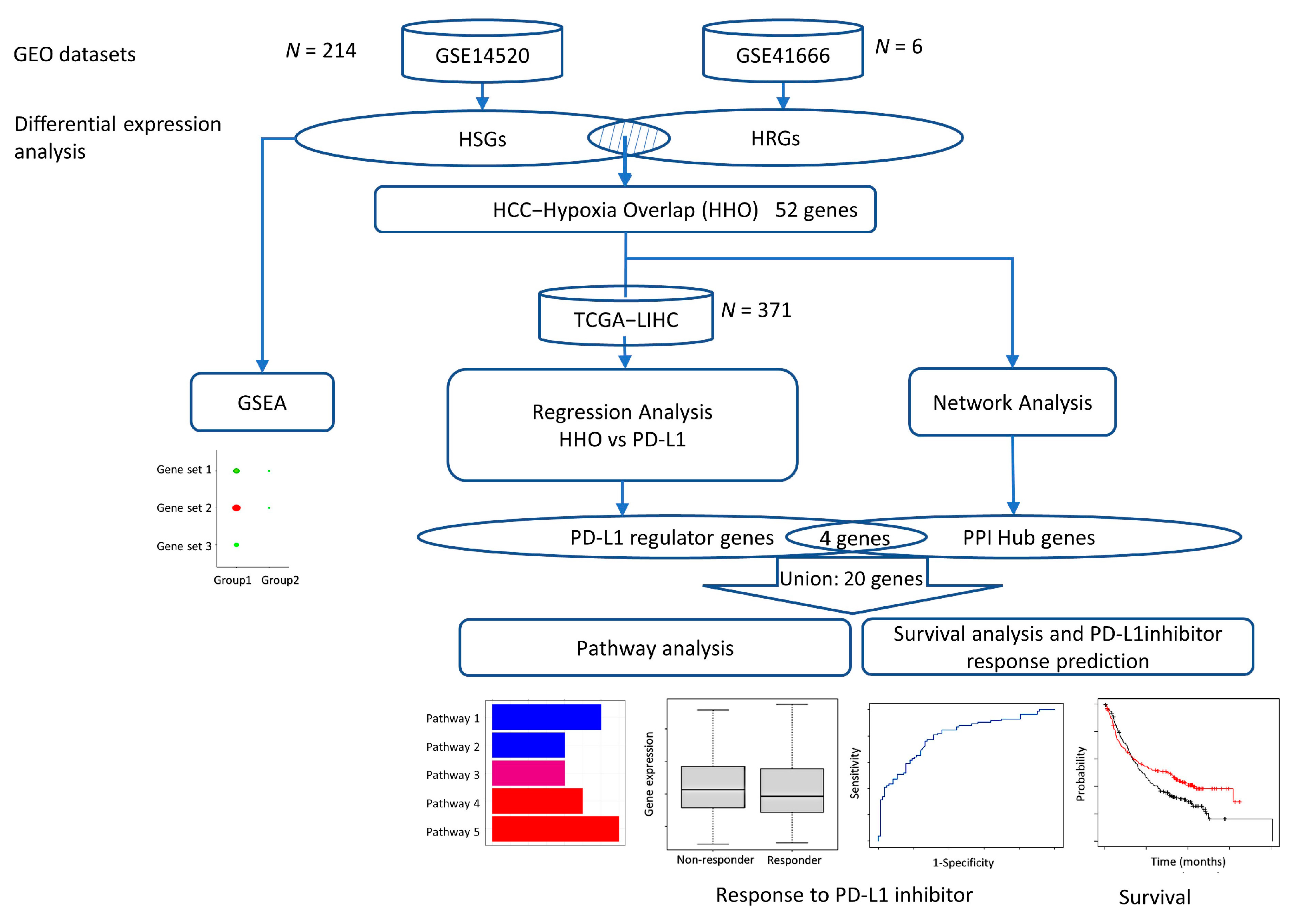 Ijms 24 08720 g007 Ijms 24 08720 g007