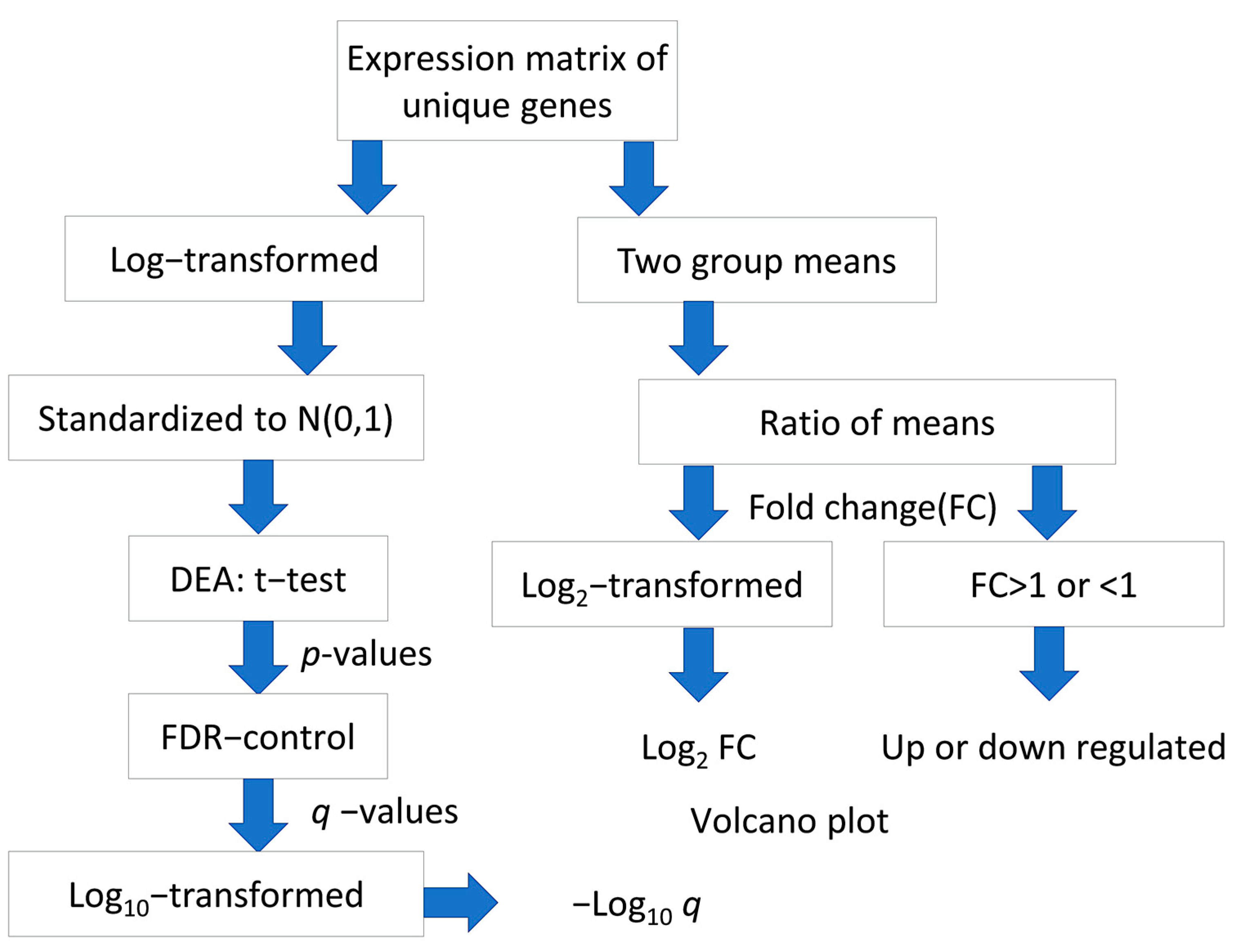 Ijms 24 08720 g008 Ijms 24 08720 g008