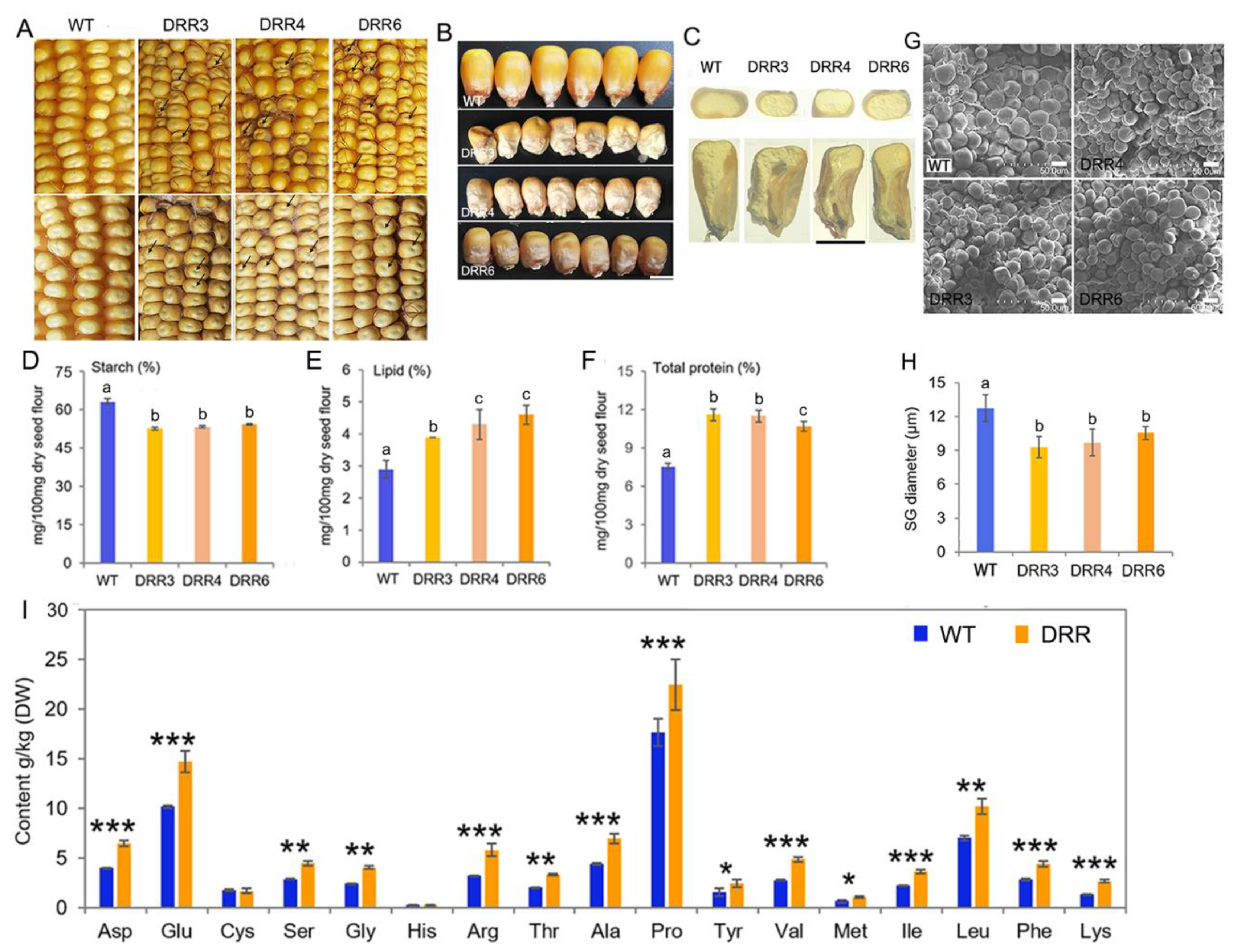 Ijms 24 08735 g002 Ijms 24 08735 g002
