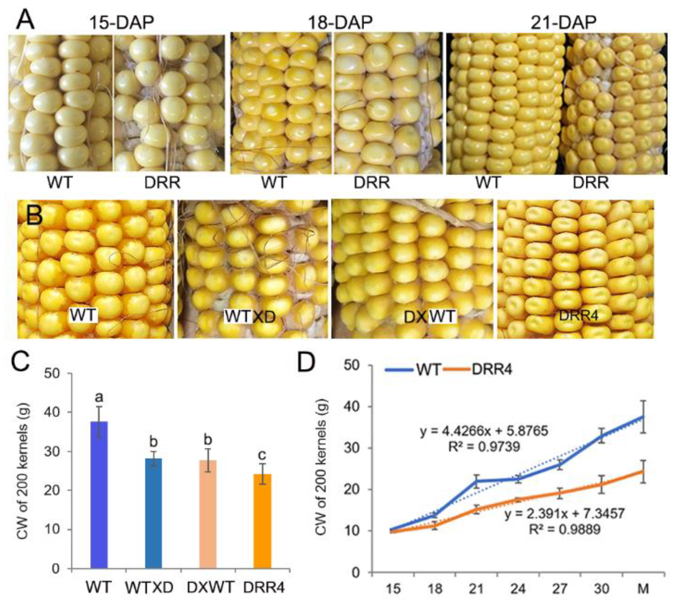 Ijms 24 08735 g003 Ijms 24 08735 g003