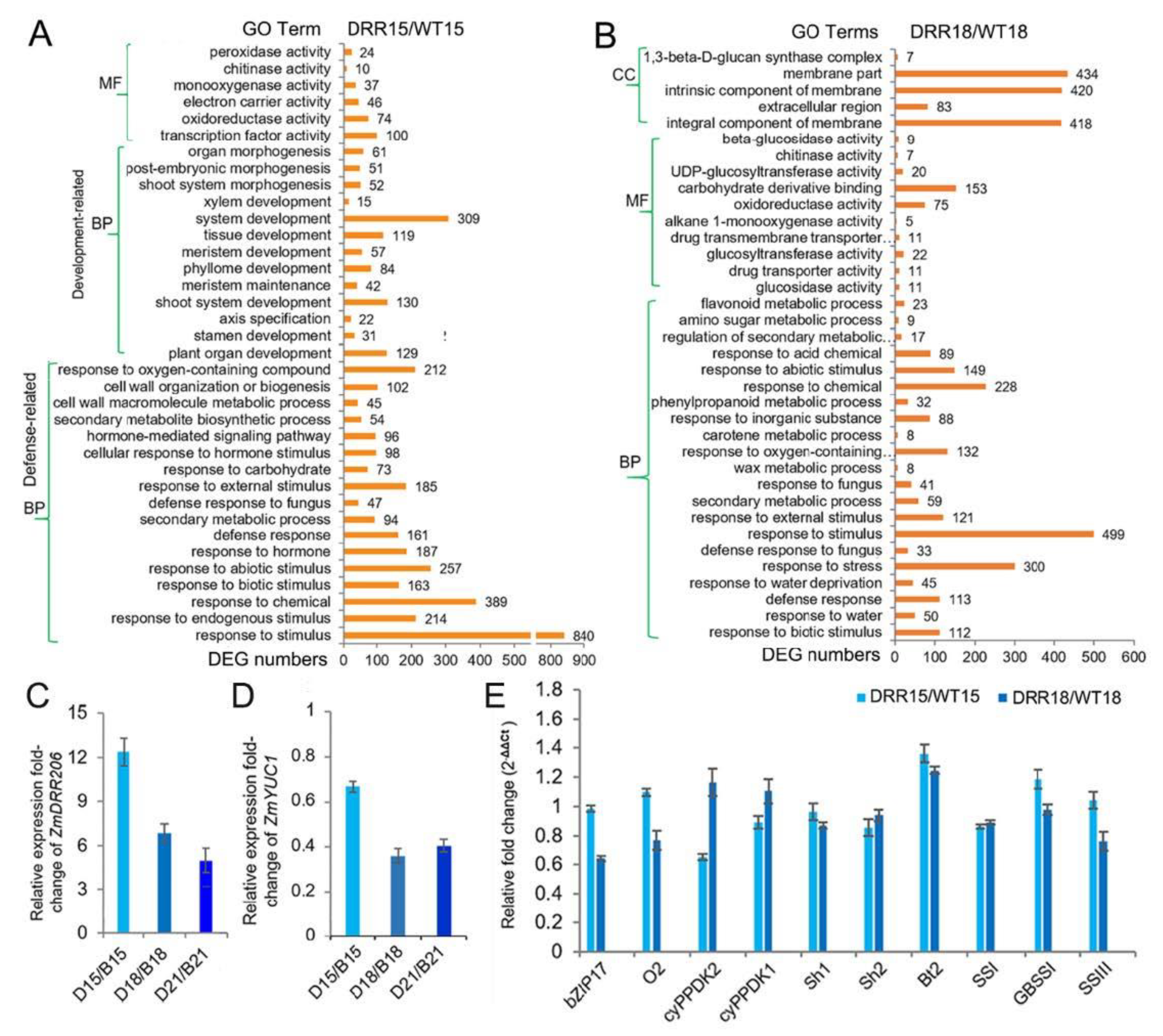 Ijms 24 08735 g005 Ijms 24 08735 g005
