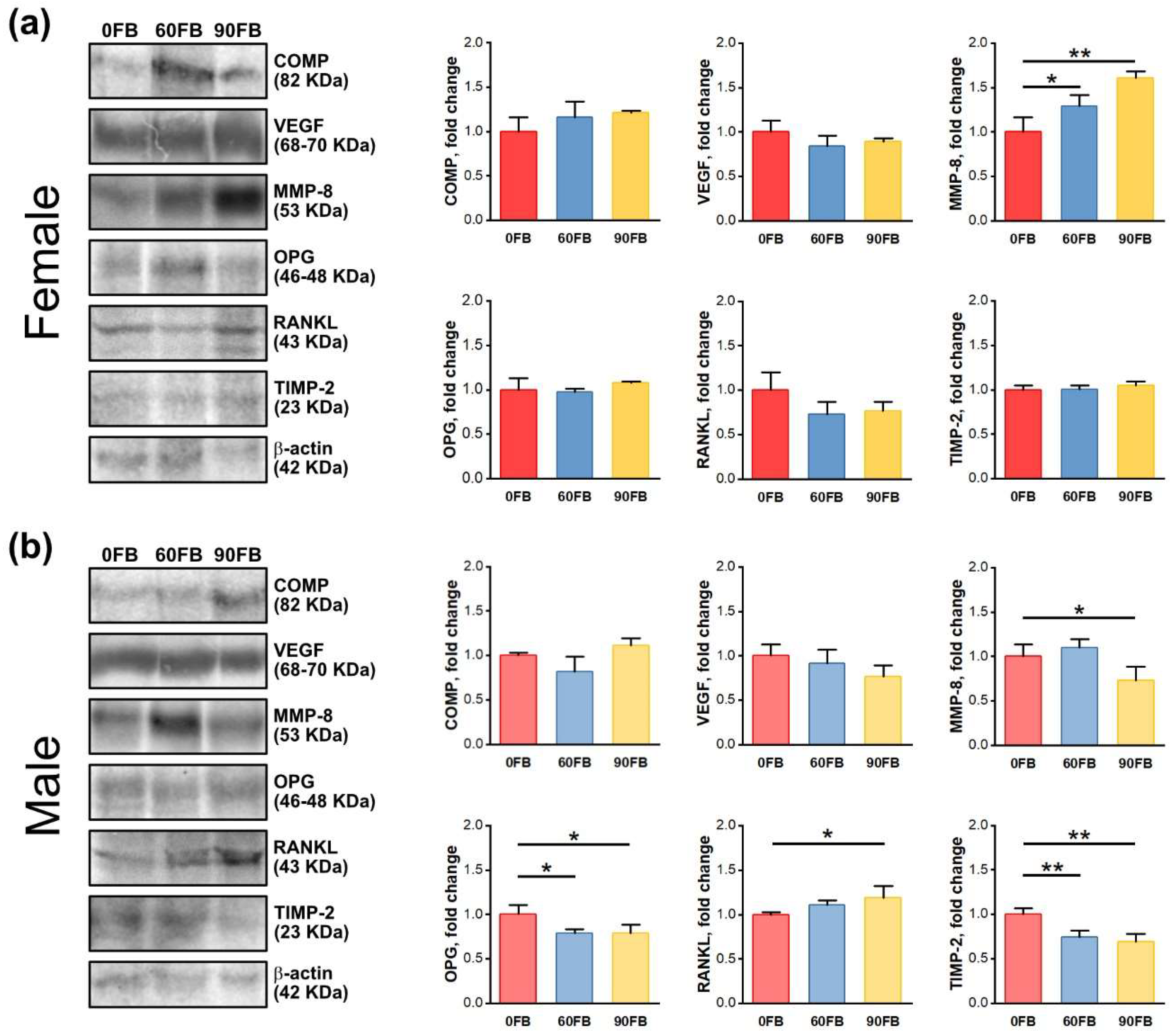 Ijms 24 08743 g004 Ijms 24 08743 g004