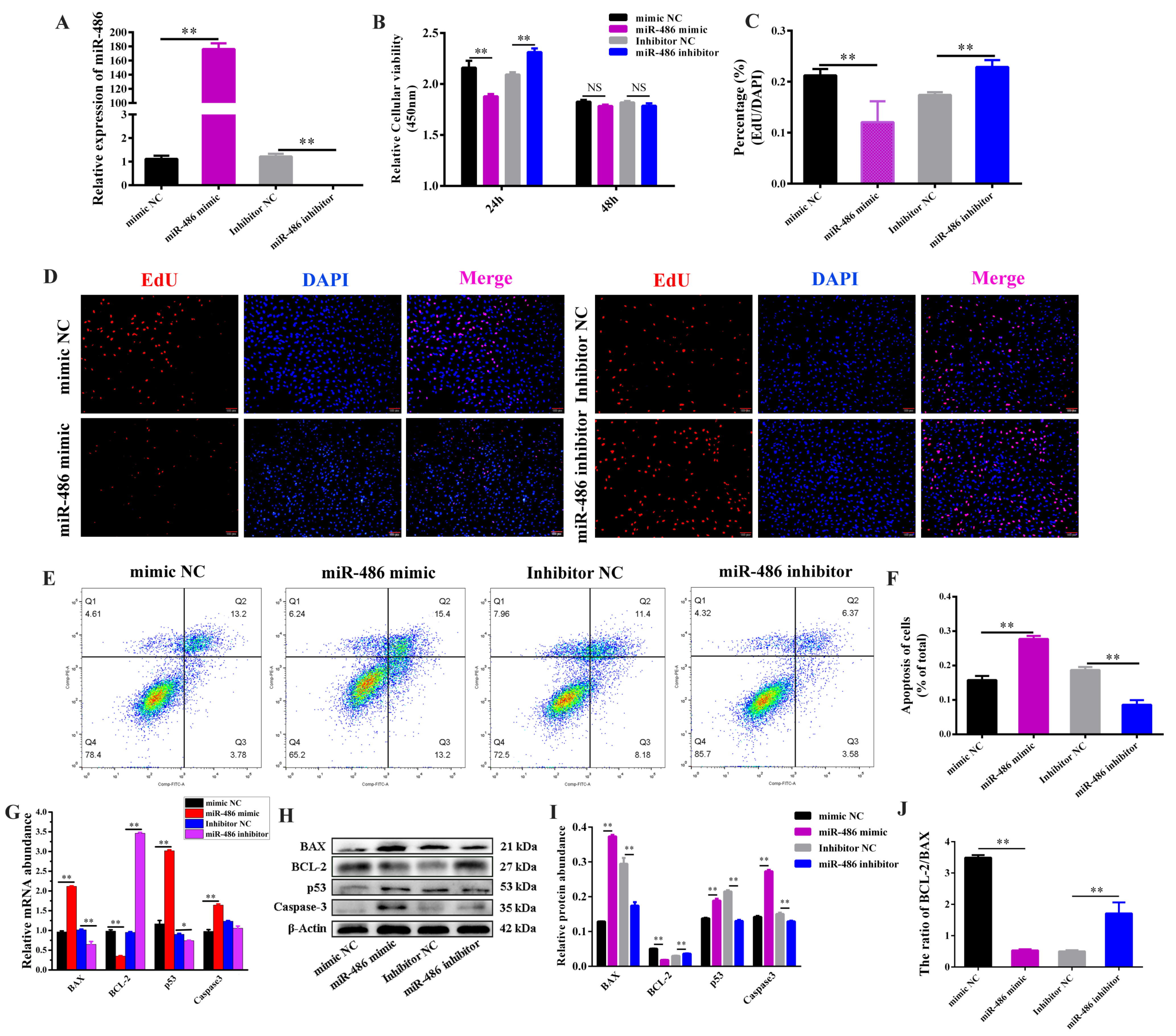 Ijms 24 08751 g001 Ijms 24 08751 g001