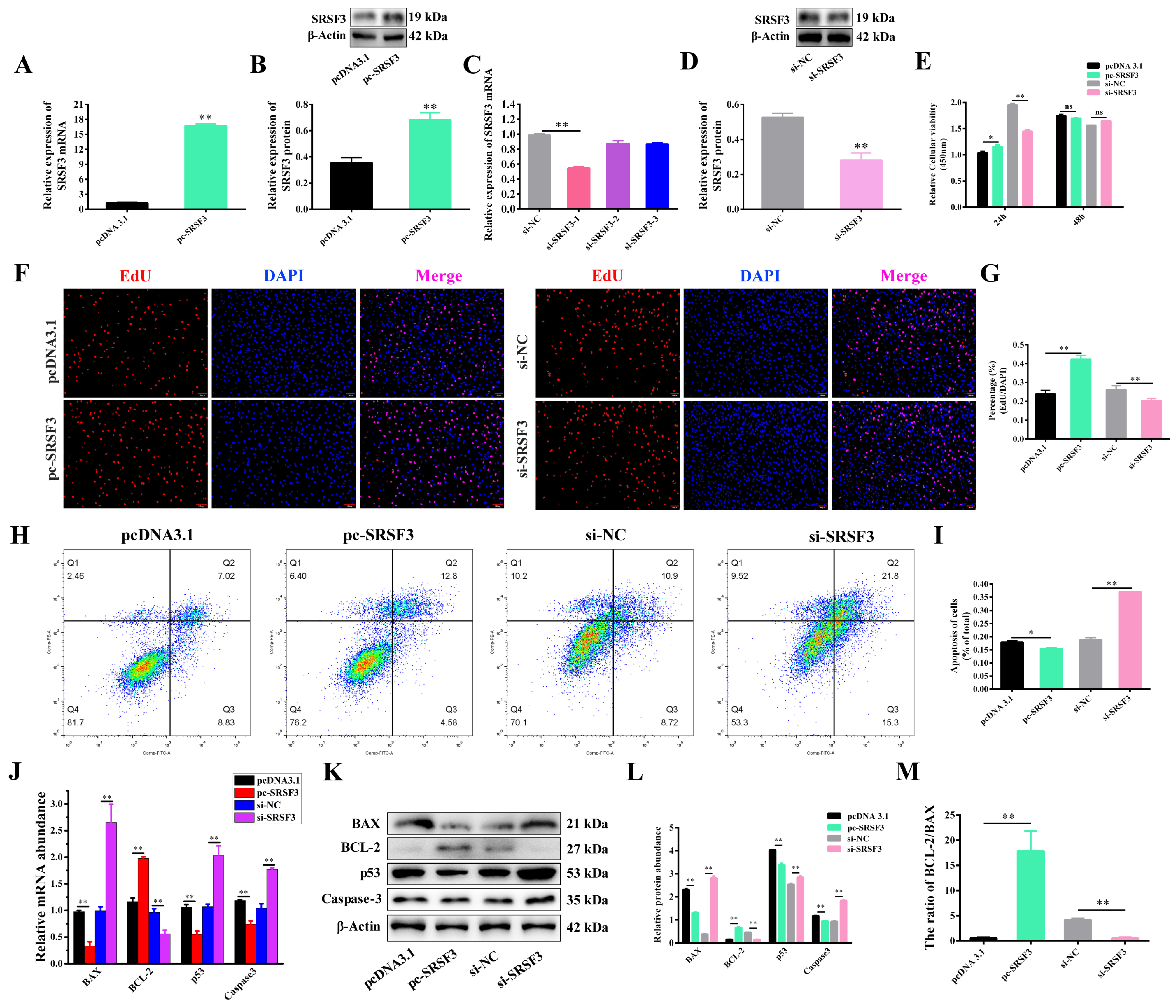 Ijms 24 08751 g003 Ijms 24 08751 g003
