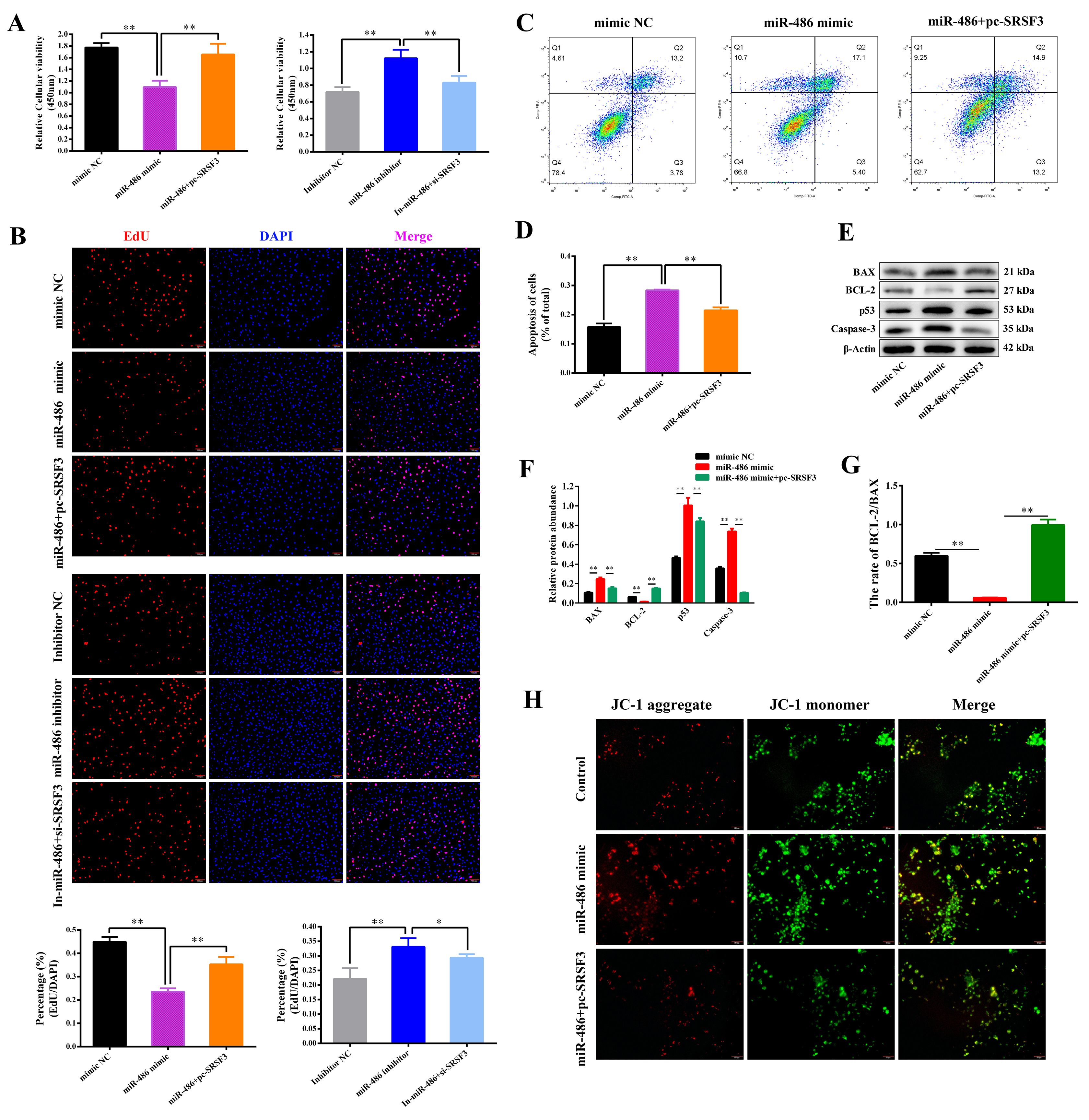 Ijms 24 08751 g004 Ijms 24 08751 g004