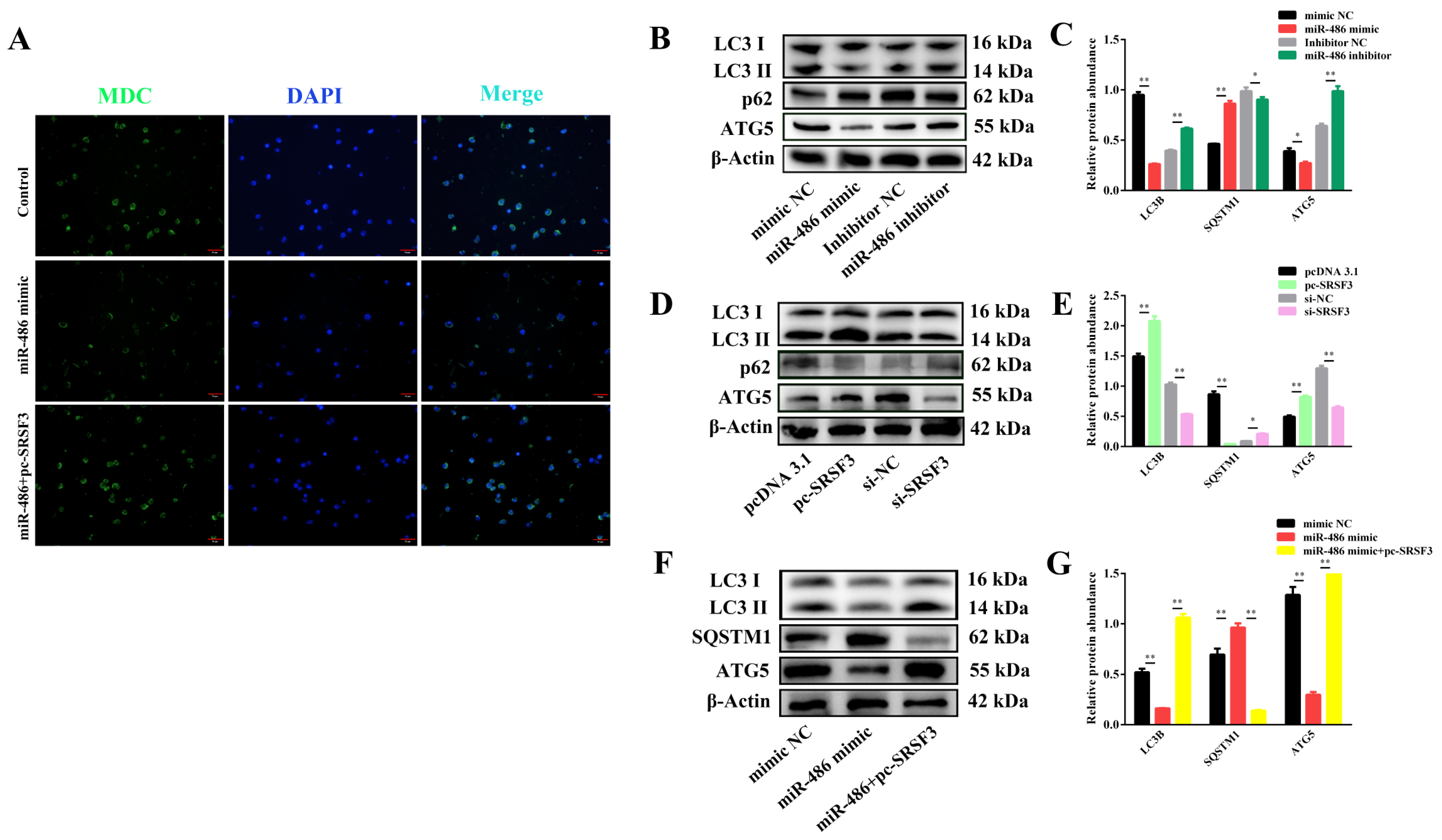 Ijms 24 08751 g005 Ijms 24 08751 g005